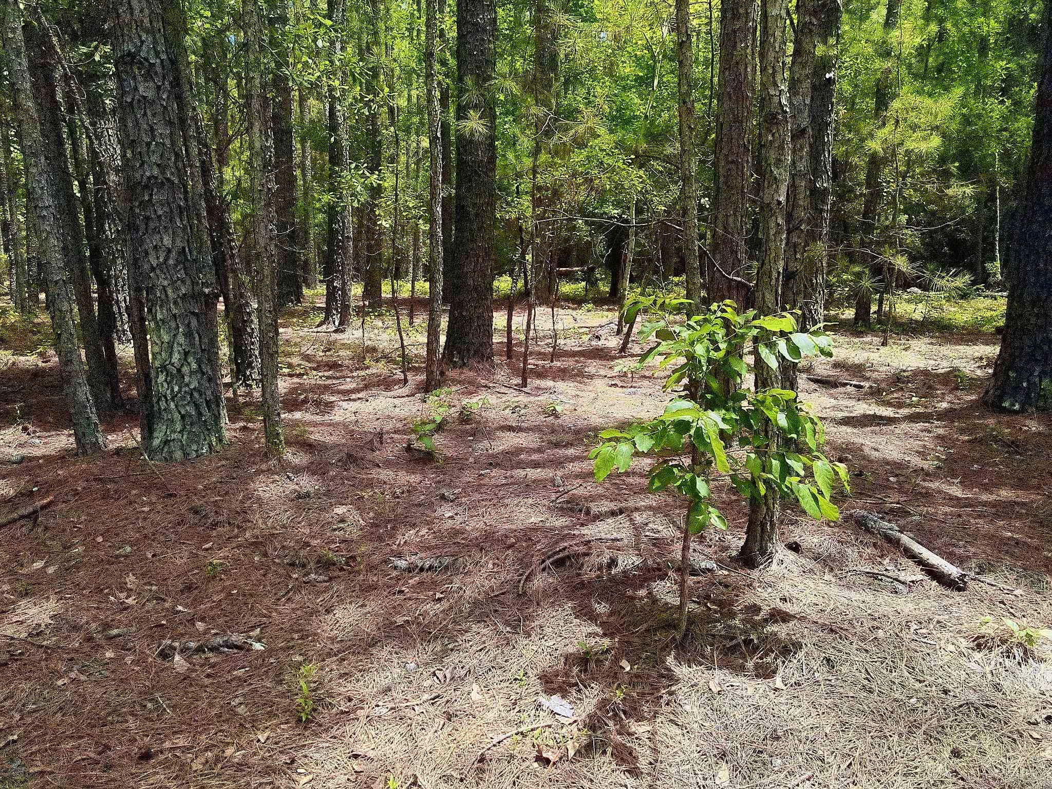 3435 Highway 430 Property Photo 9