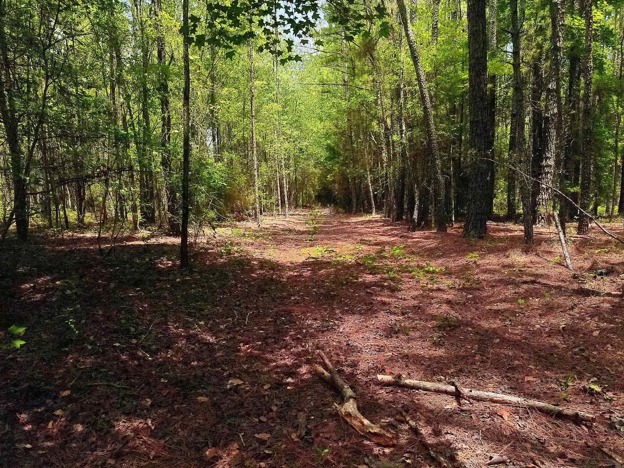 3435 Highway 430 Property Photo 10