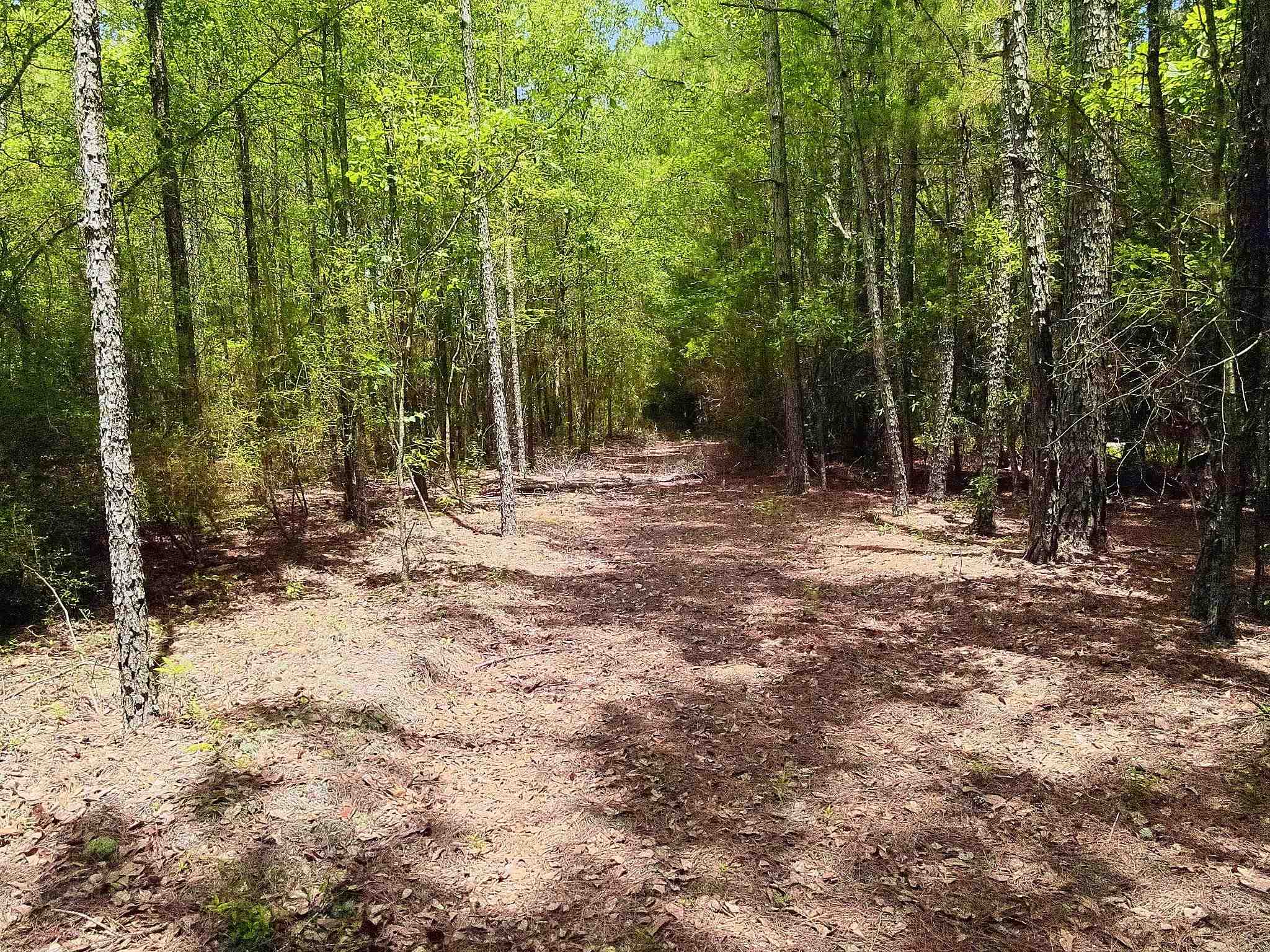 3435 Highway 430 Property Photo 11