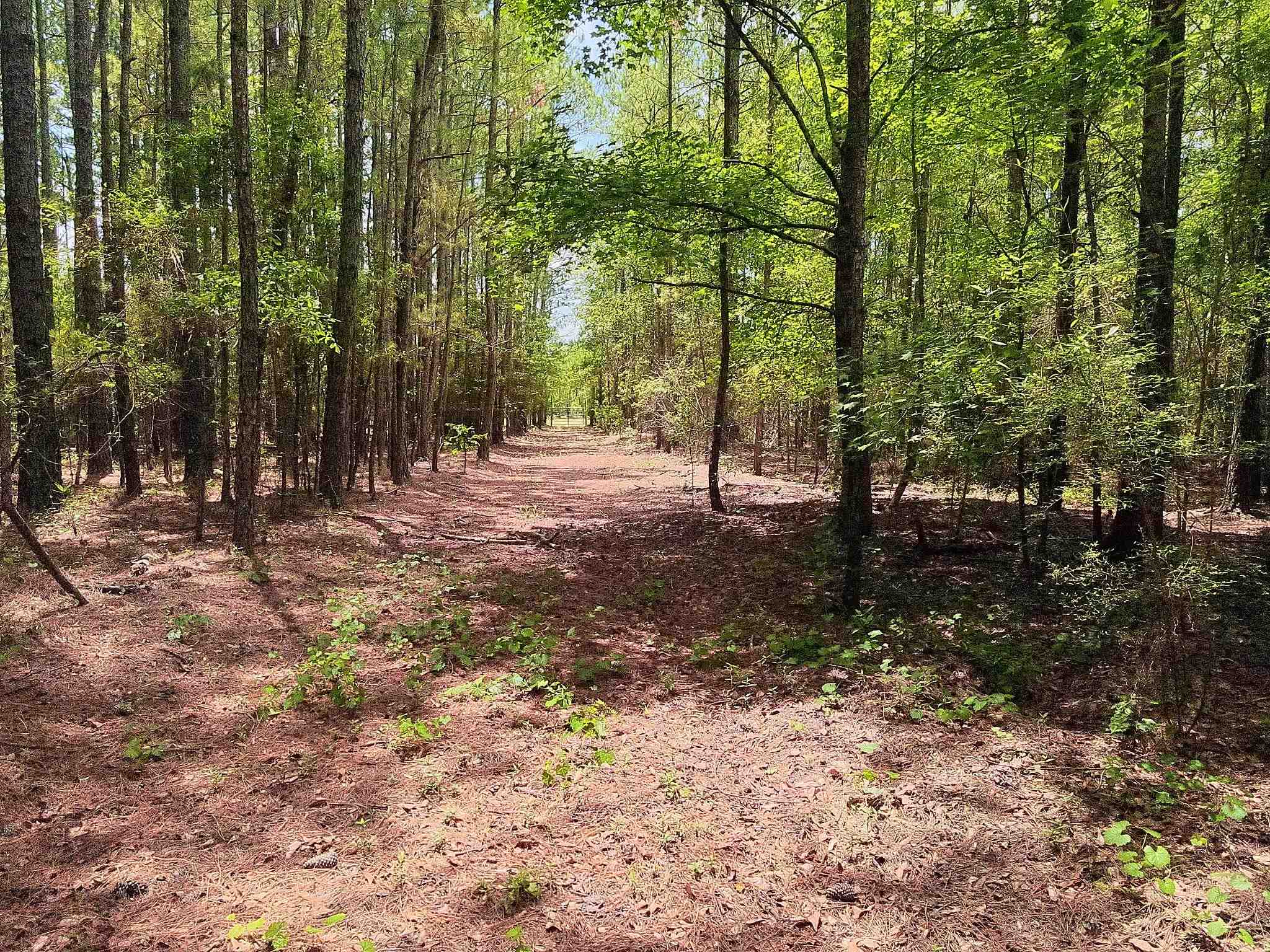 3435 Highway 430 Property Photo 12