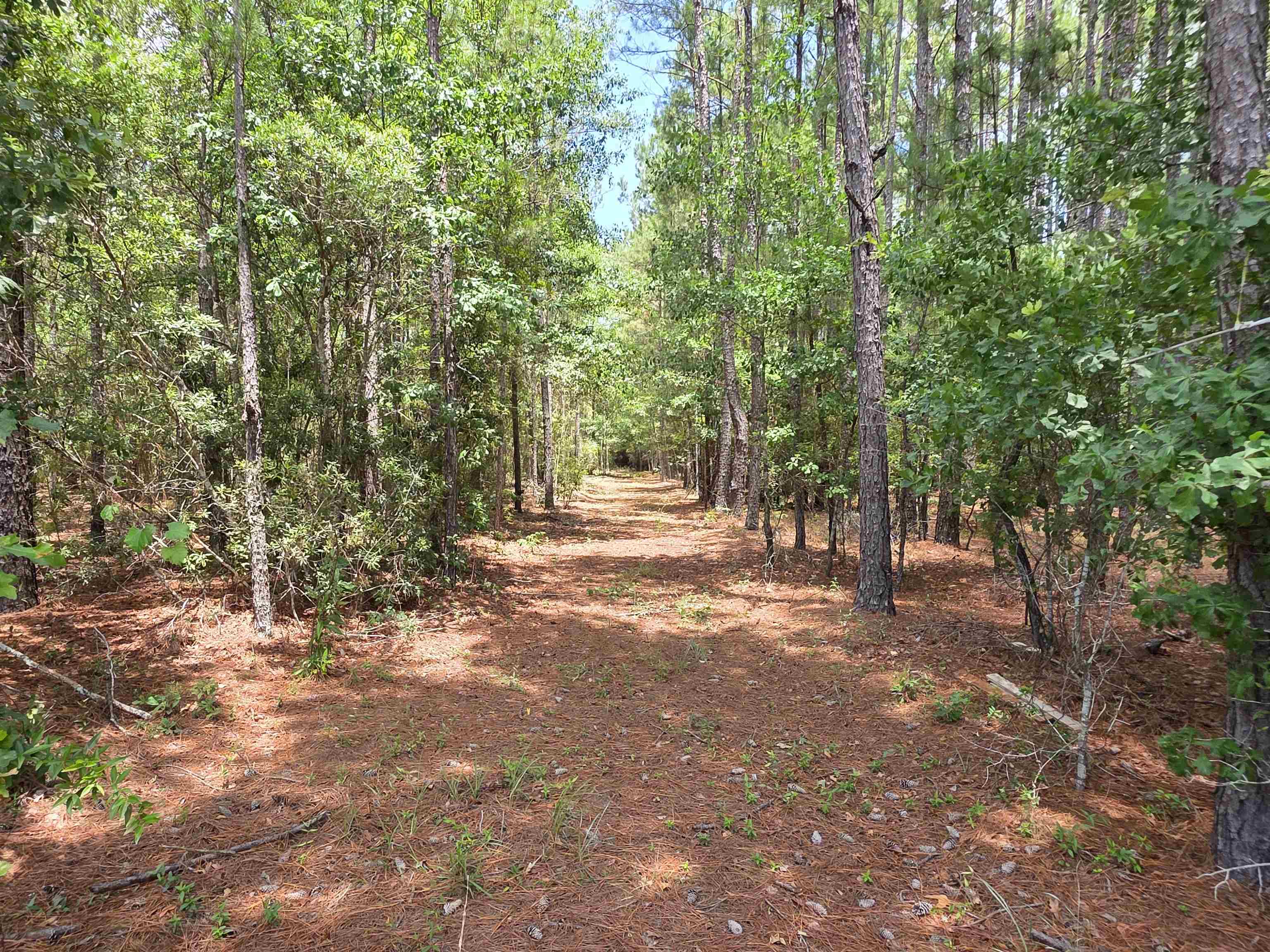 3435 Highway 430 Property Photo 13