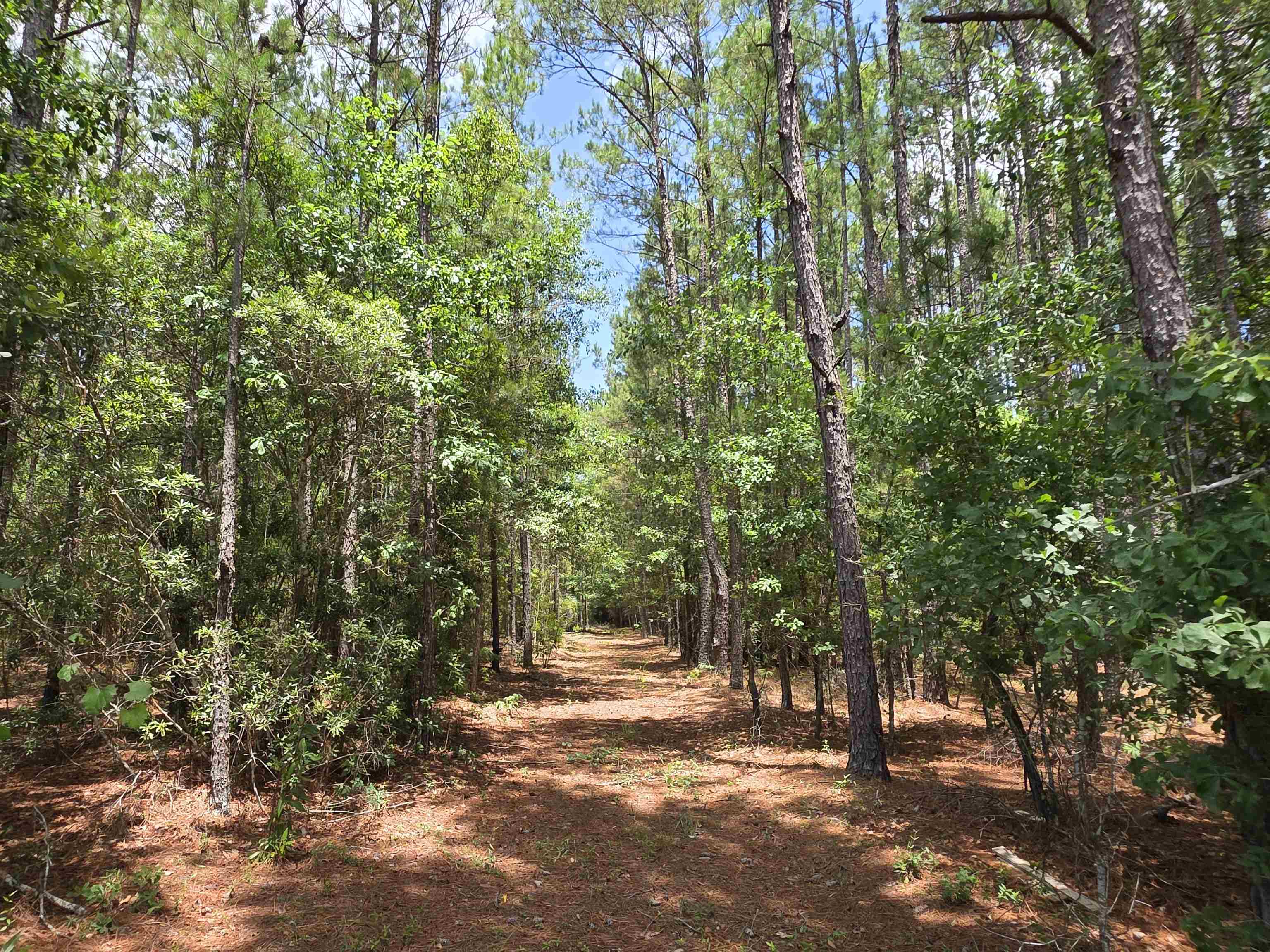 3435 Highway 430 Property Photo 14