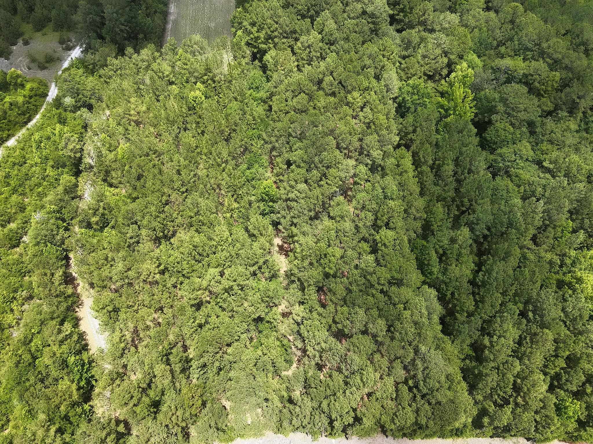 3435 Highway 430 Property Photo 16