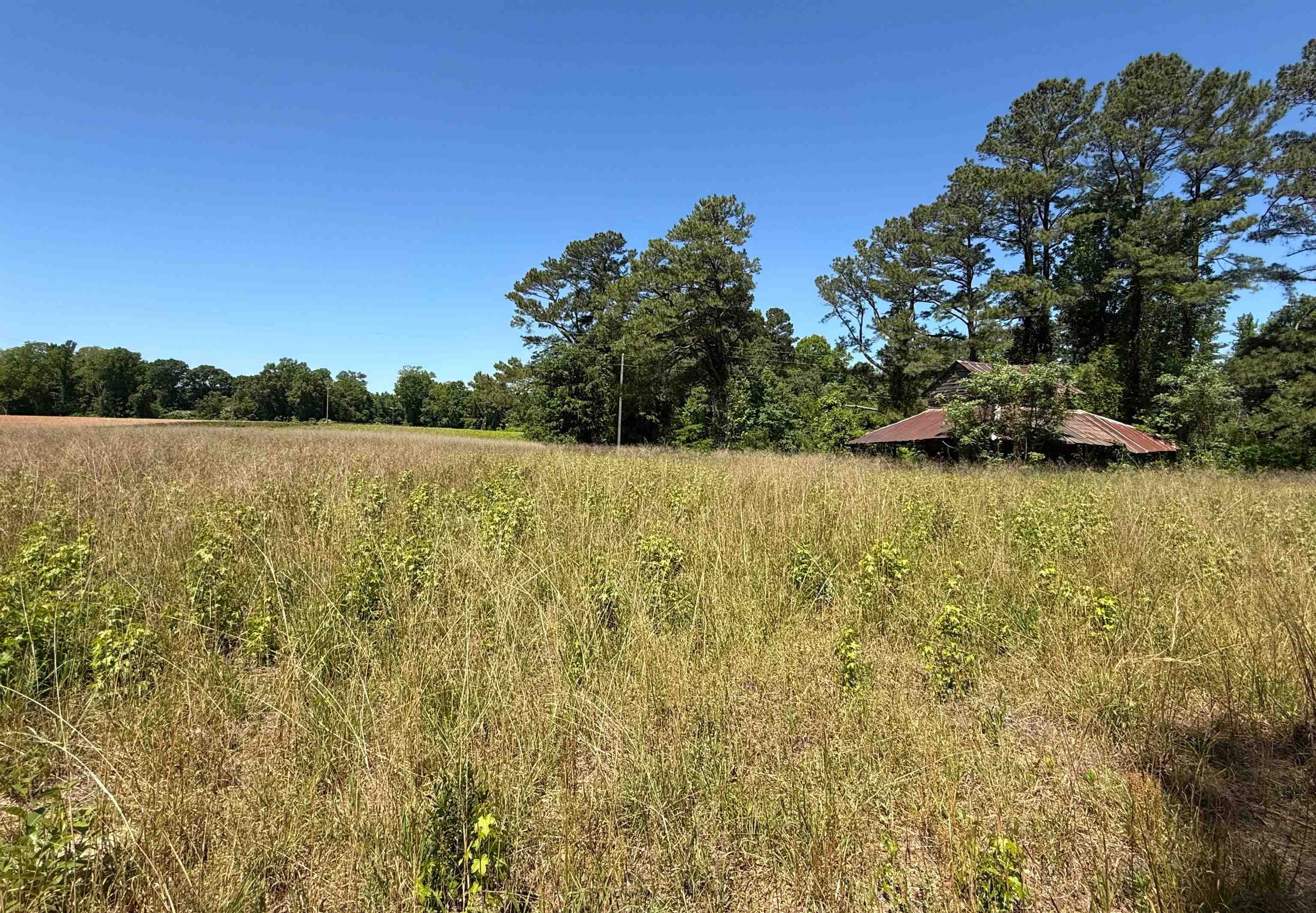Tbd Mitchell Sea Rd. Property Photo 1