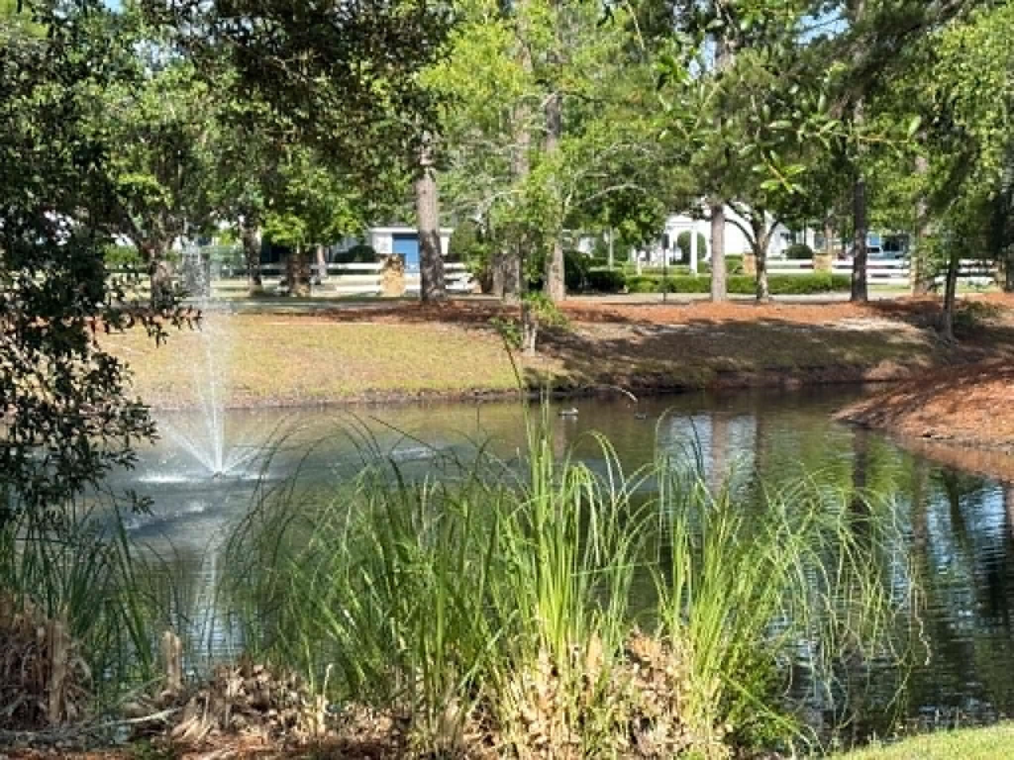 4814 Innisbrook Ct. Property Photo 40