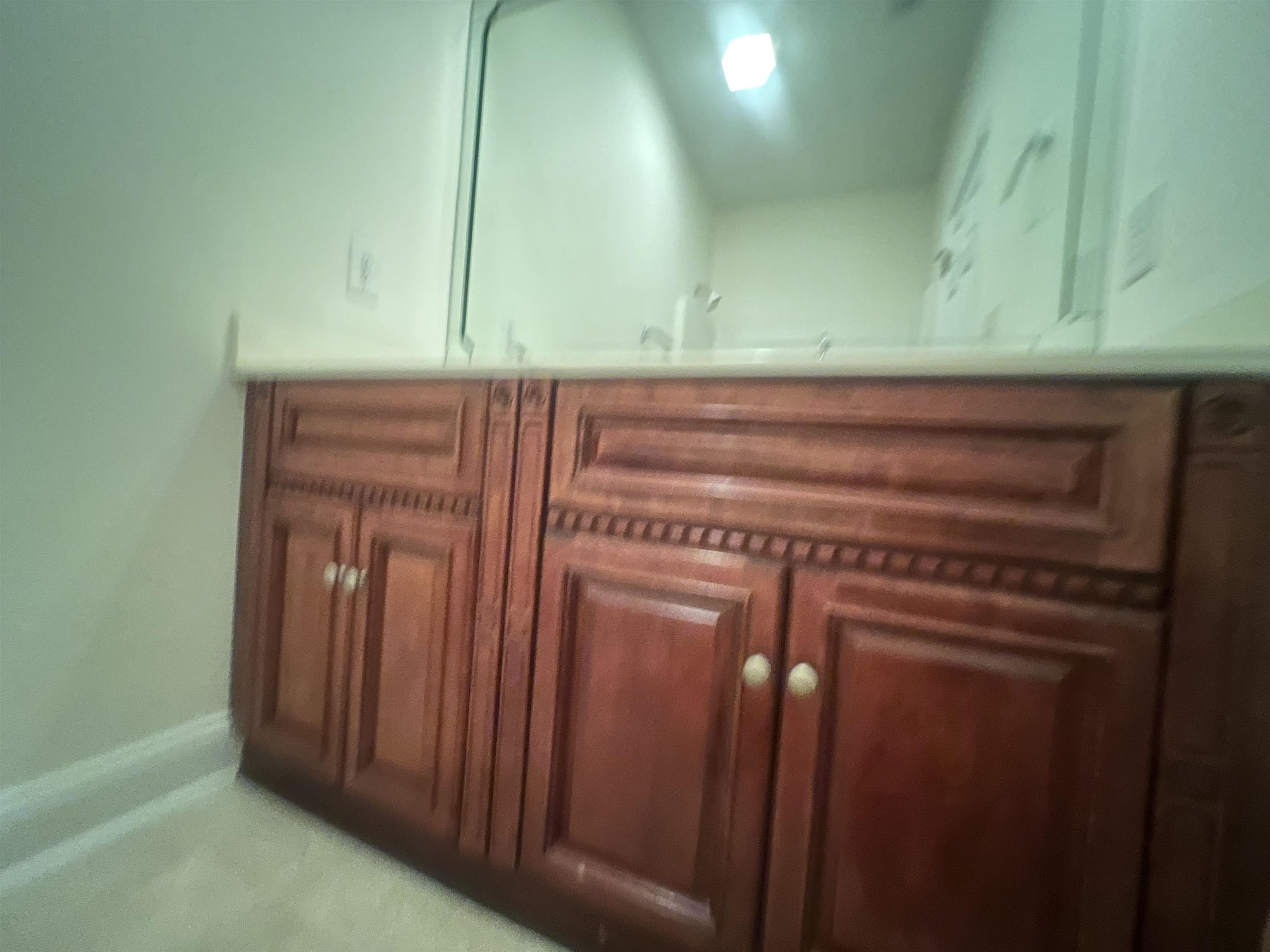 251 Colby Ct. Property Photo 16