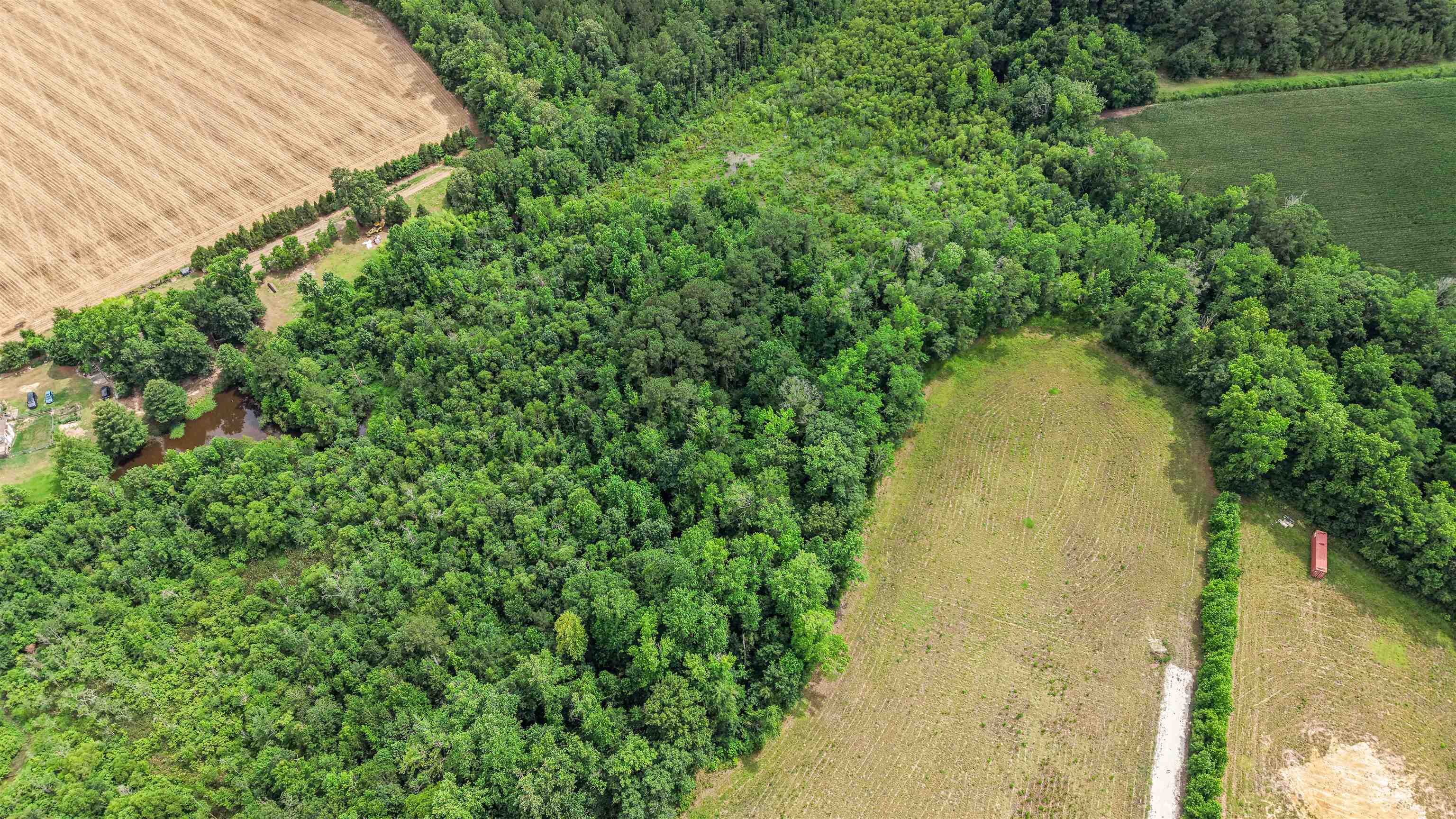 Lot 4 Sheila Dr. Property Photo 11