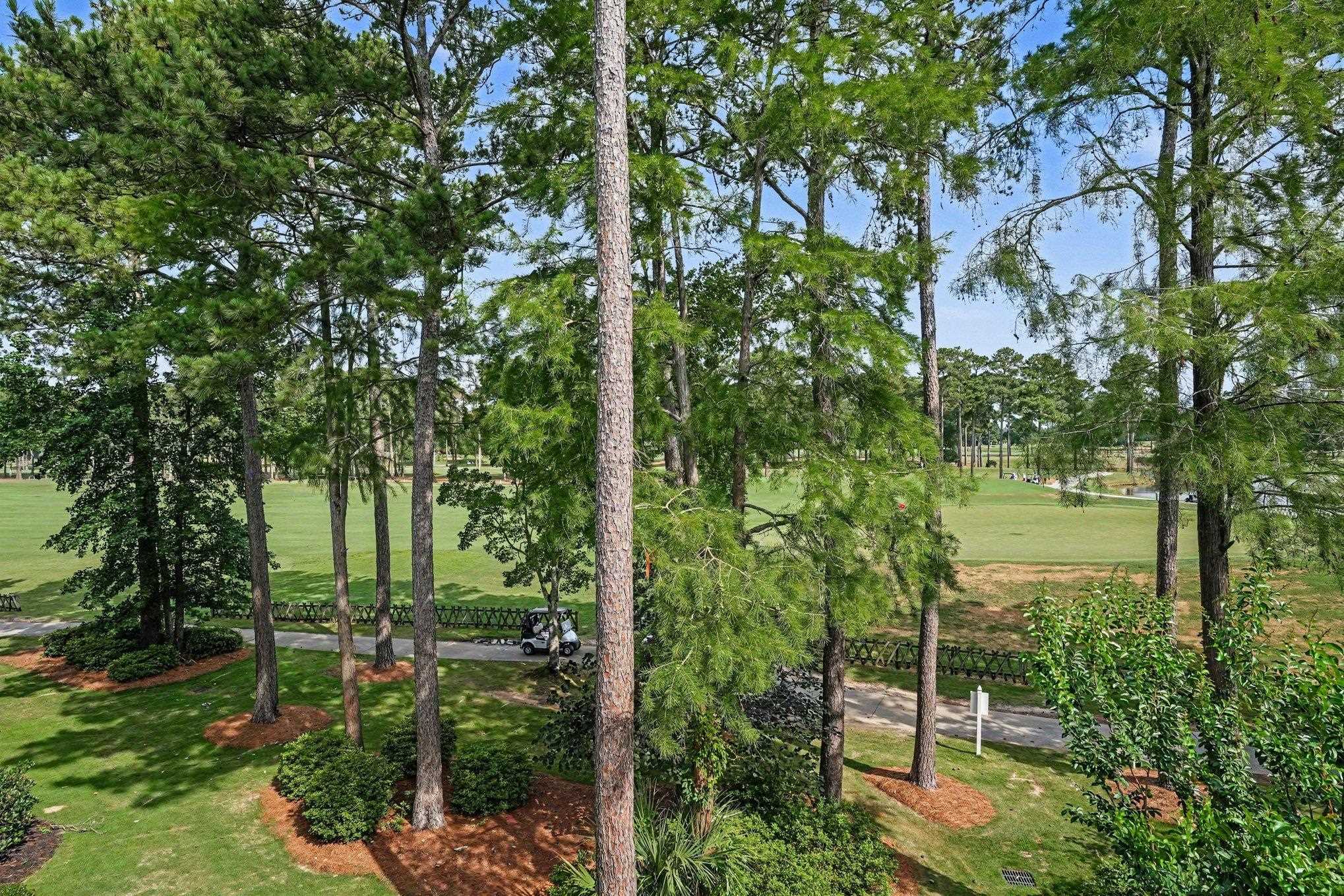 104 Cypress Point Ct. Property Photo 28