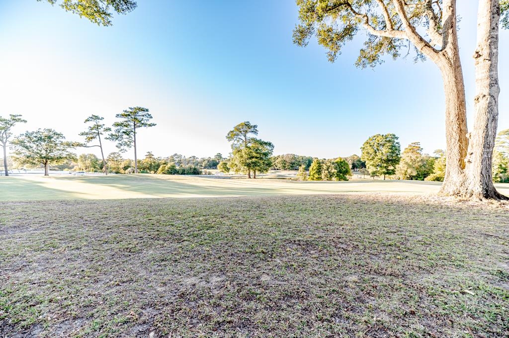 2615794 Property Photo 4