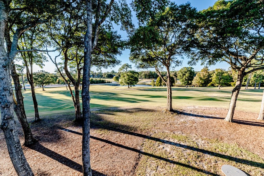 2615794 Property Photo 5
