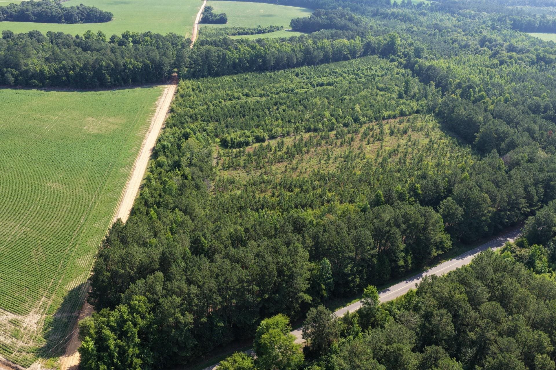 Tbd Road 300 Property Photo 1