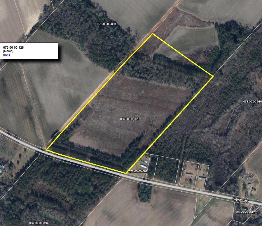 Tbd Road 300 Property Photo 2