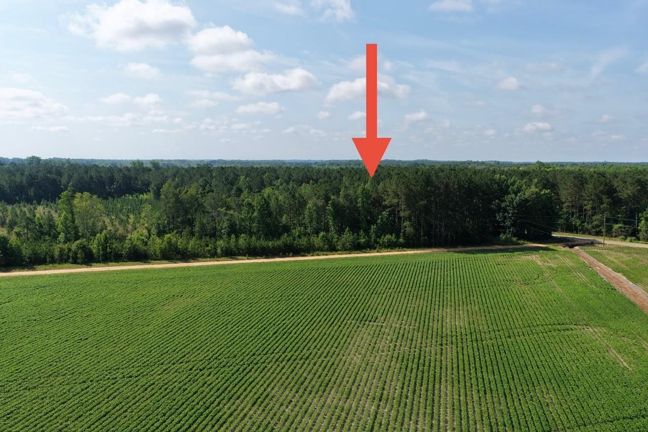 Tbd Road 300 Property Photo 3