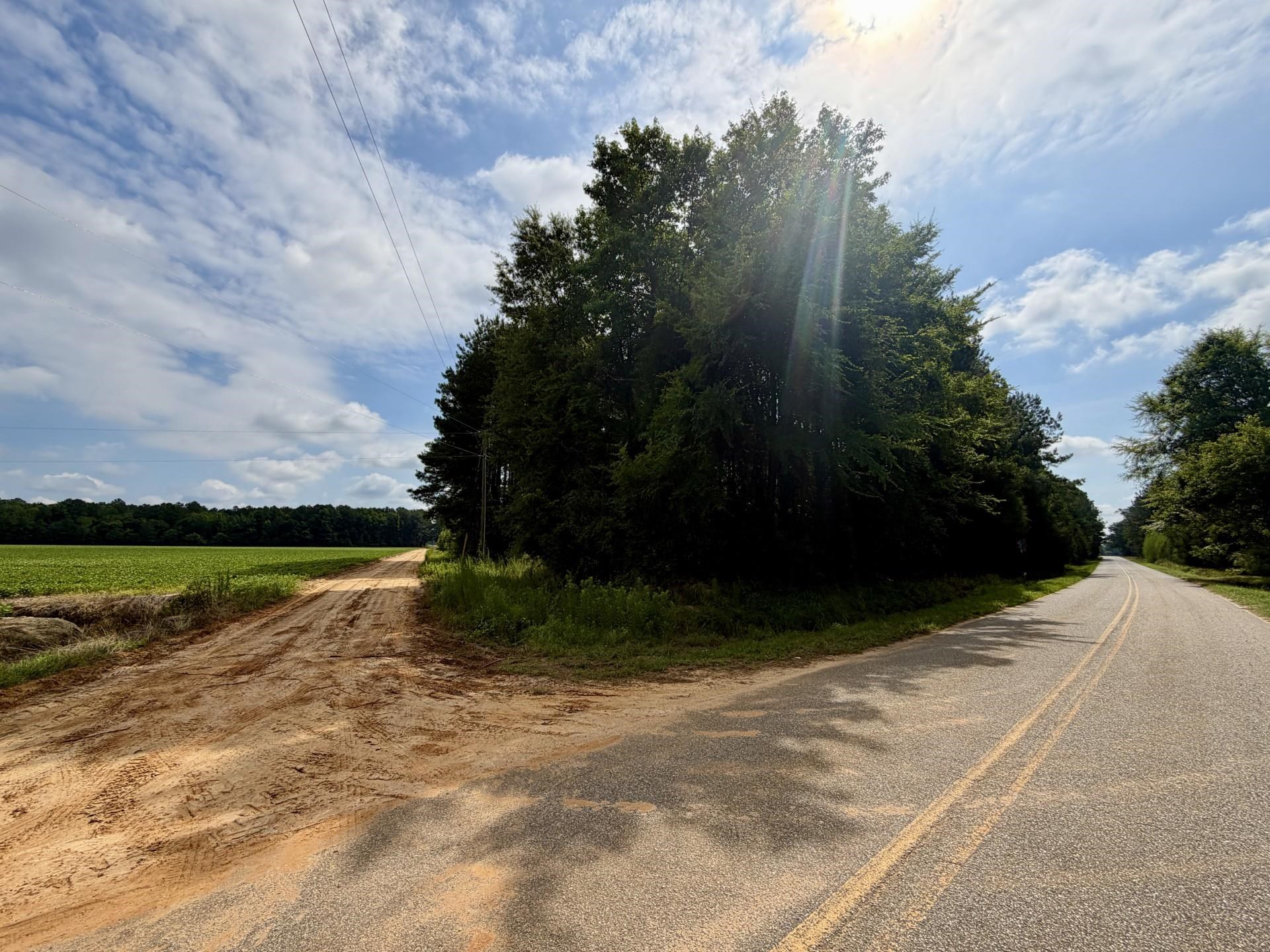 Tbd Road 300 Property Photo 4