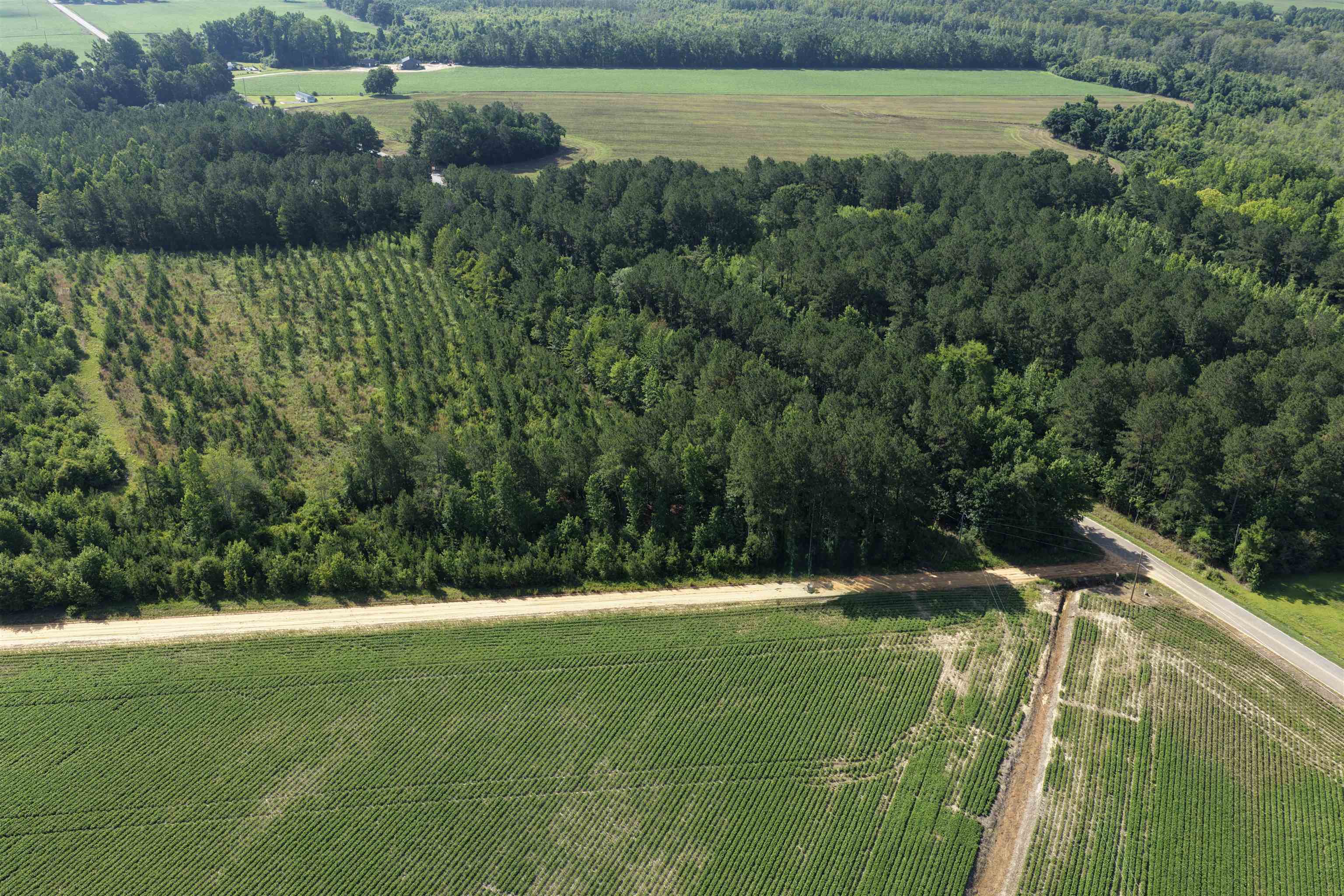 Tbd Road 300 Property Photo 5