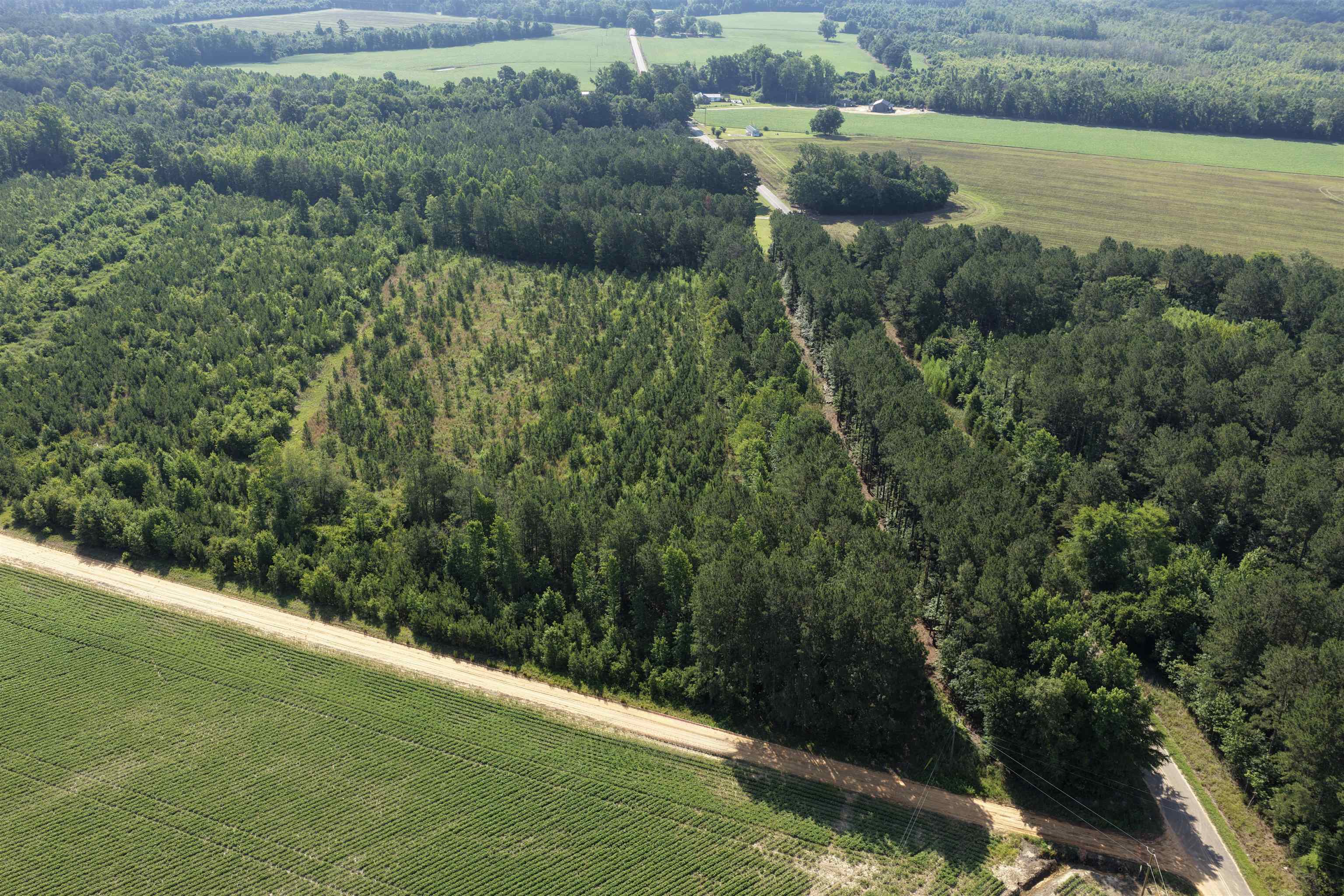 Tbd Road 300 Property Photo 6