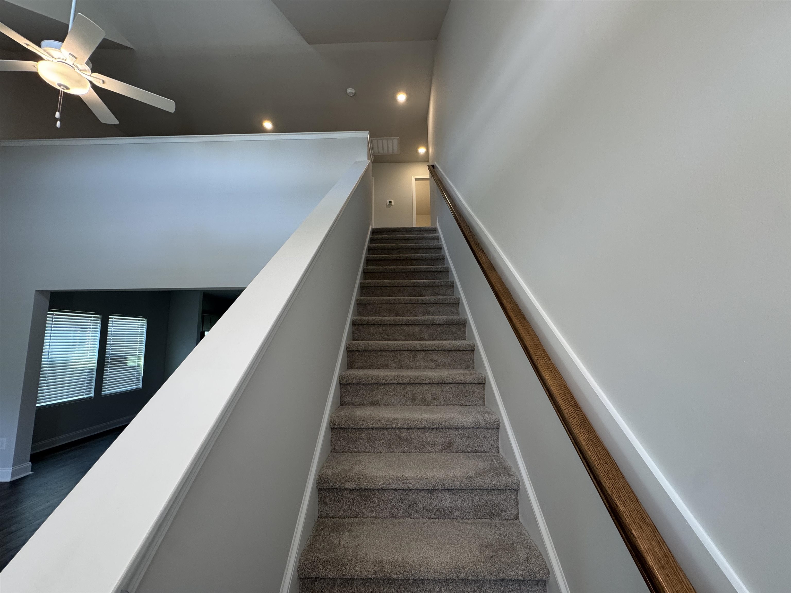 3025 Spain Ln. Property Photo 45