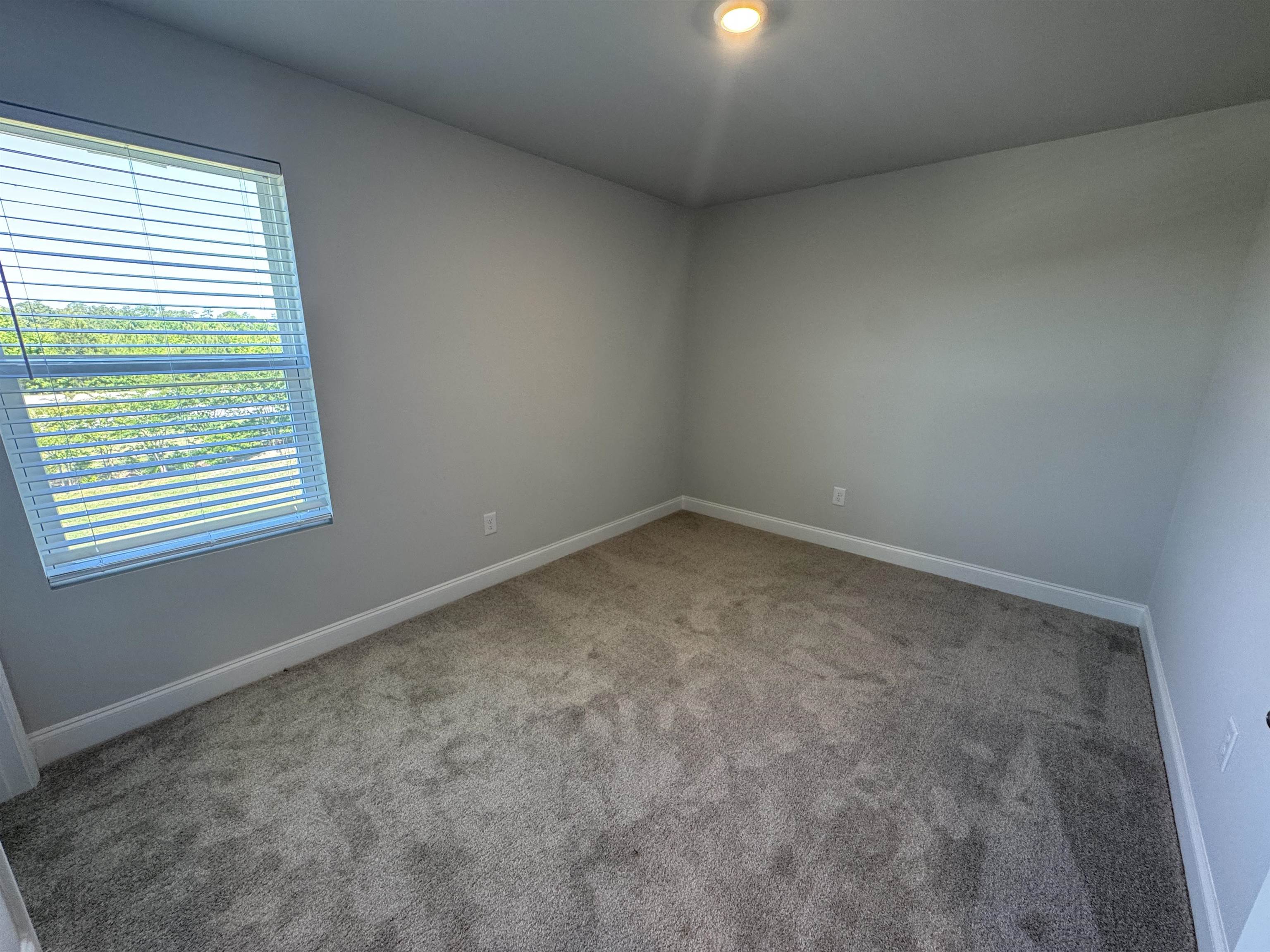 3025 Spain Ln. Property Photo 51