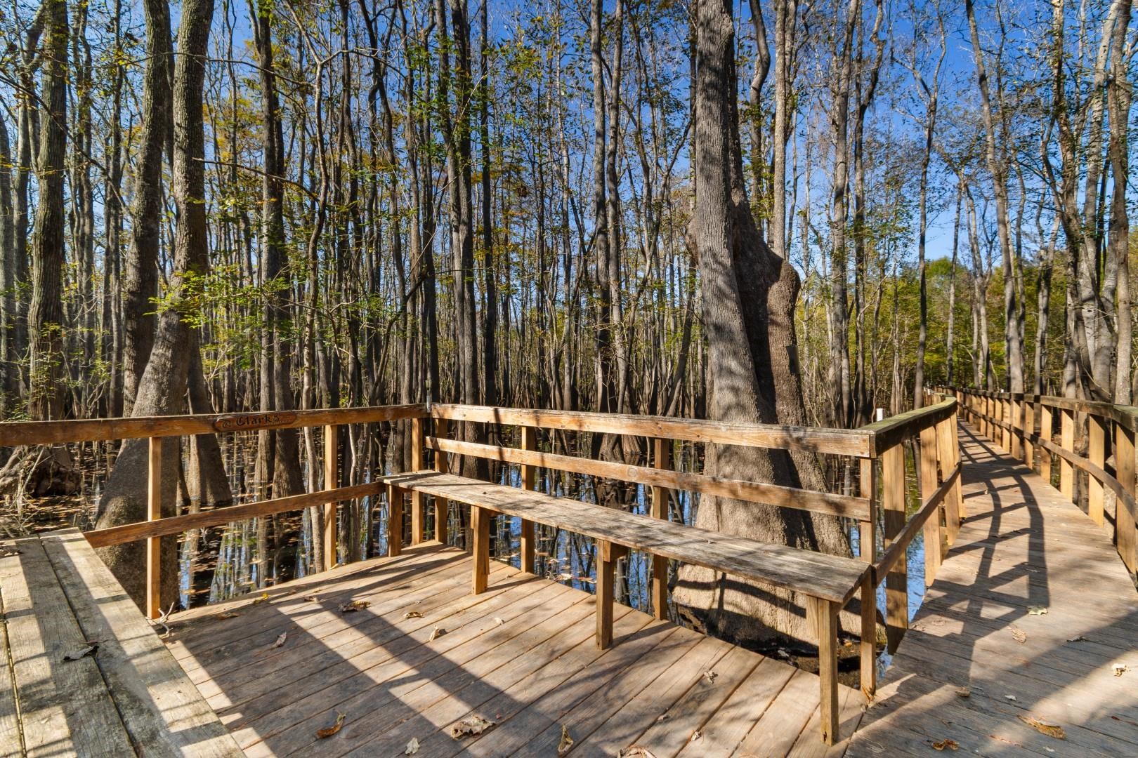 881 Rowe Pond Rd. Property Photo 29