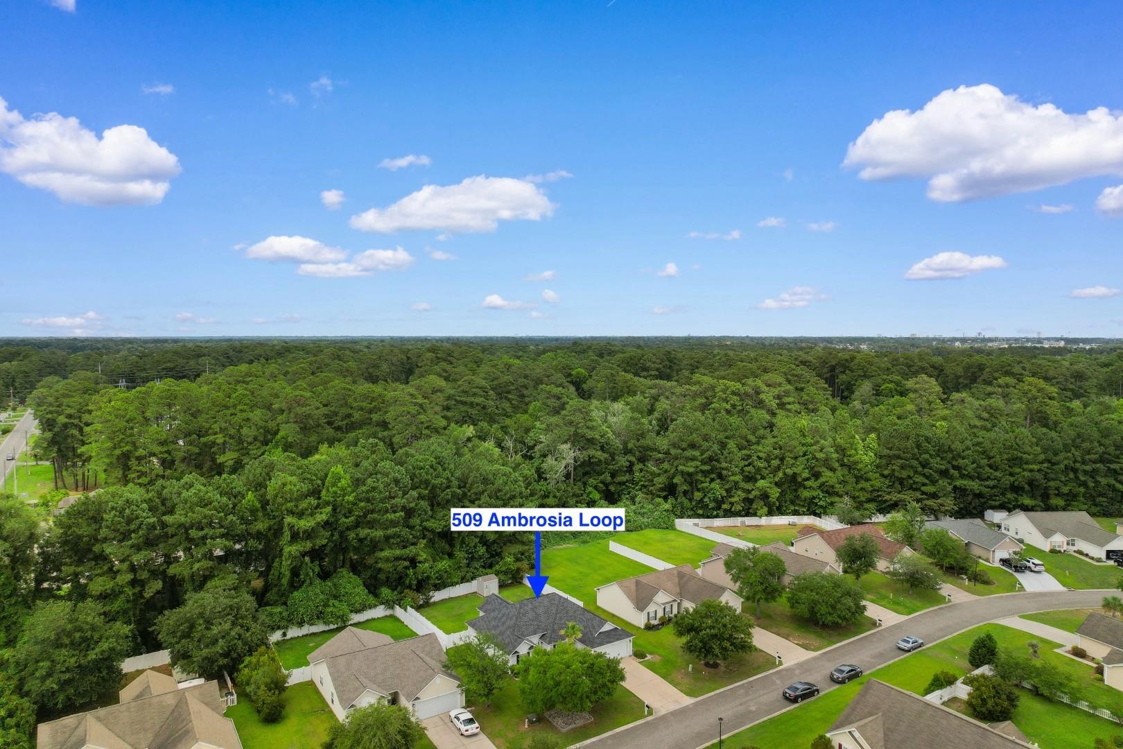 509 Ambrosia Loop Property Photo 34