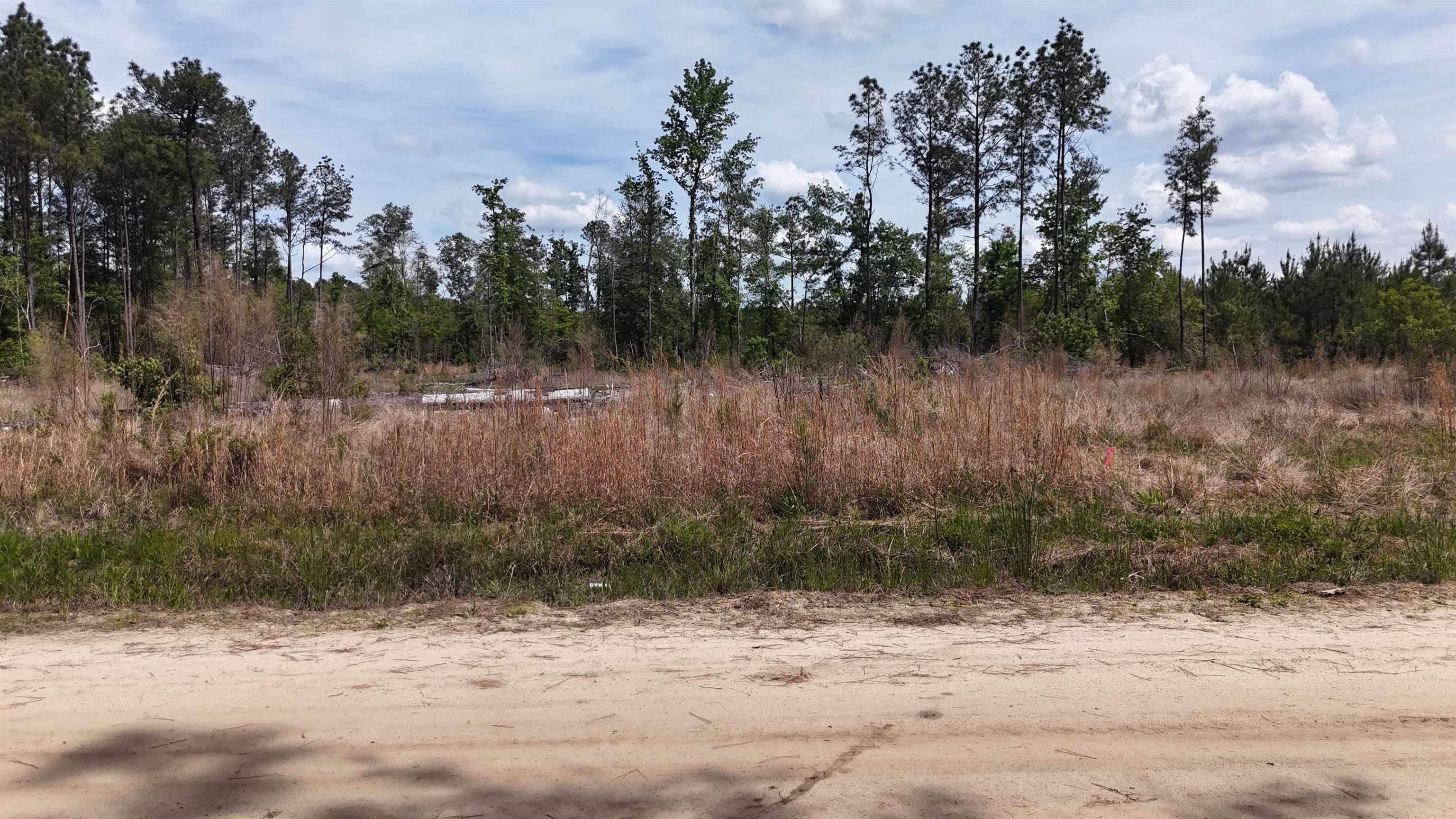Tbd Hope Ct Property Photo 4
