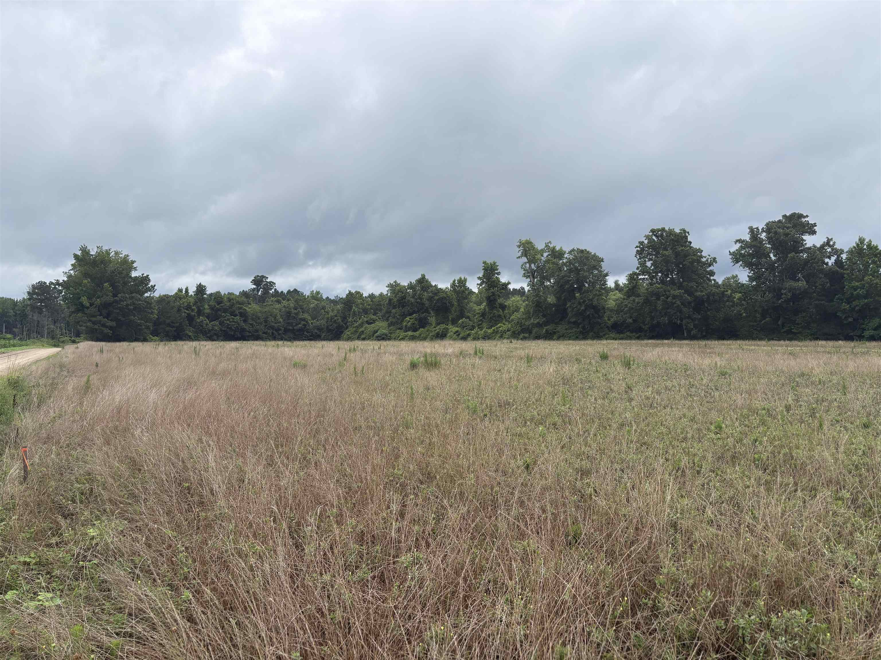 Tbd Coney Dr. Property Photo 1