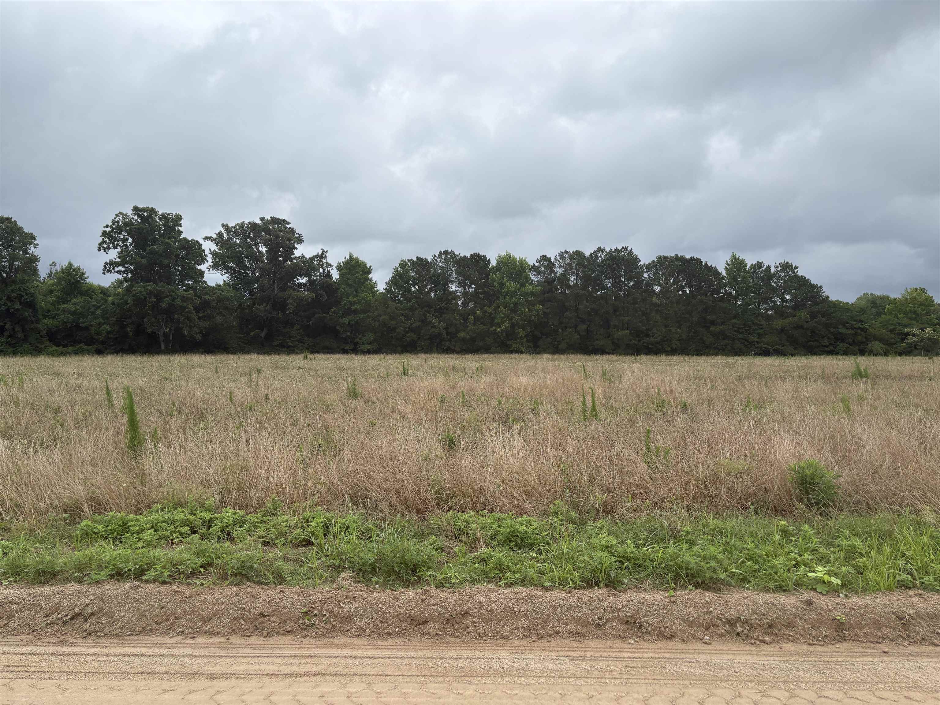 Tbd Coney Dr. Property Photo 5