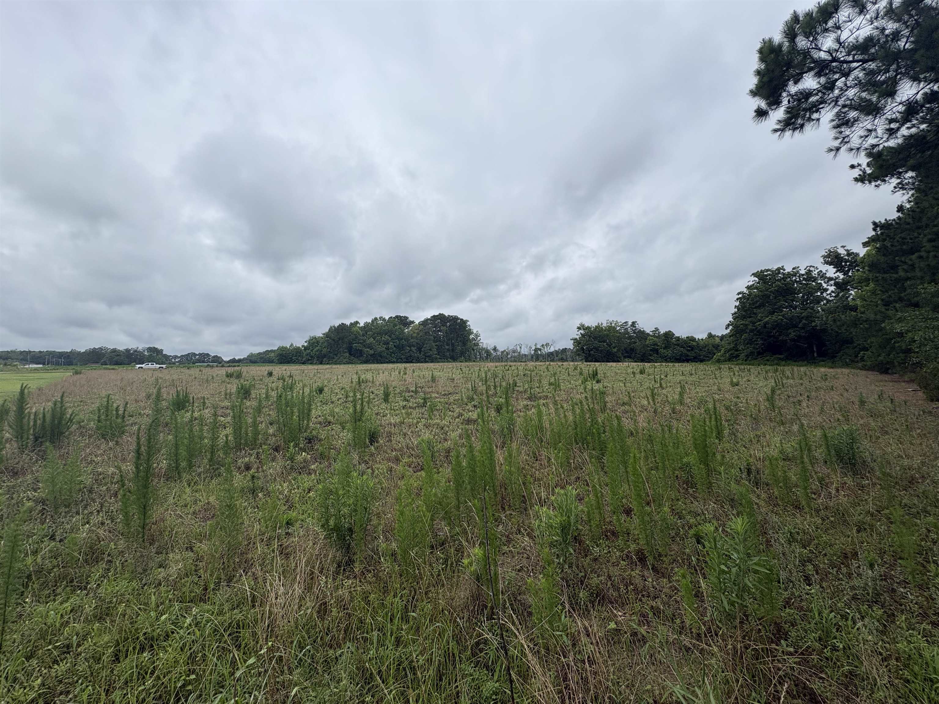 Tbd Coney Dr. Property Photo 6