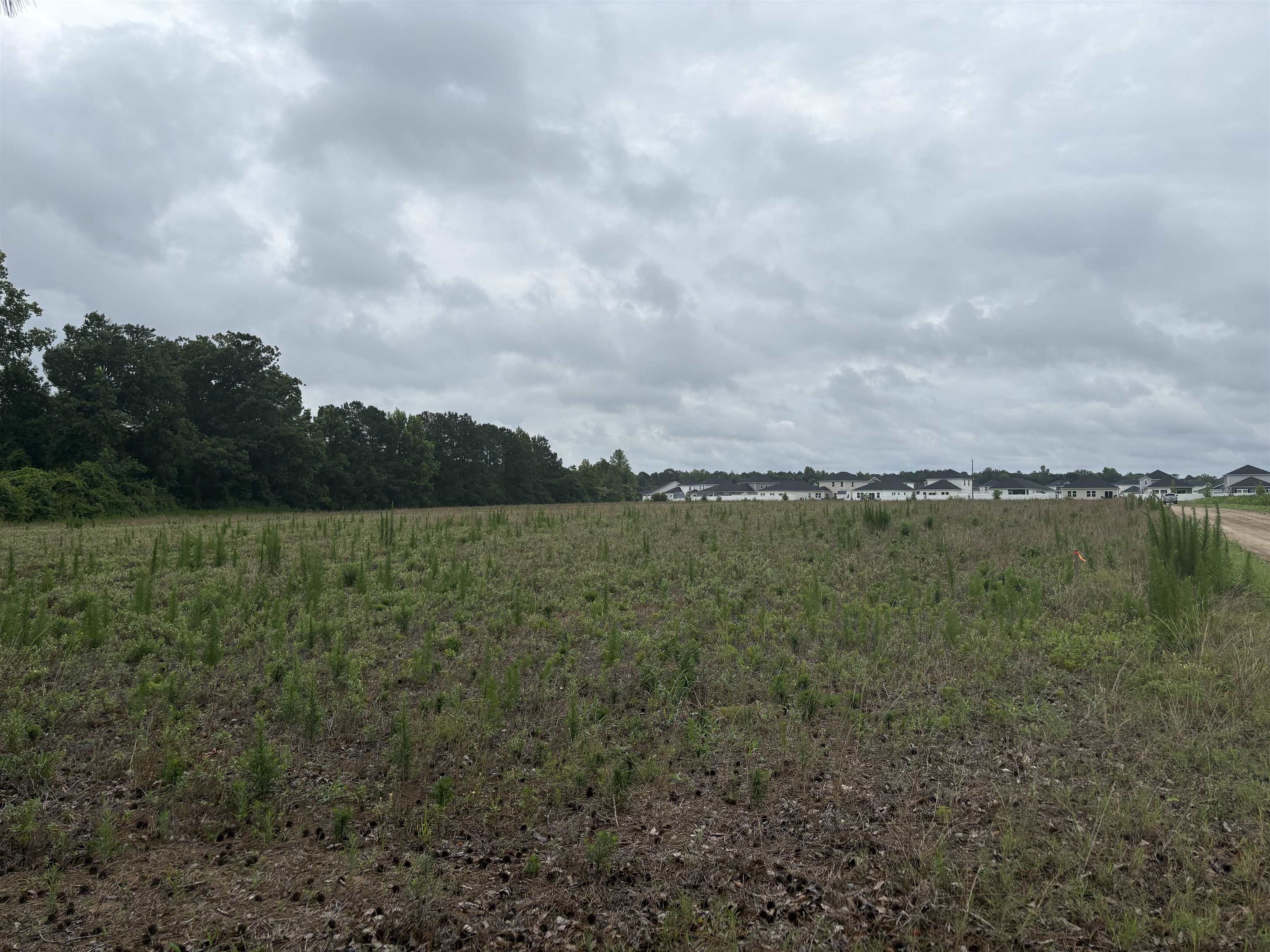 Tbd Coney Dr. Property Photo 7
