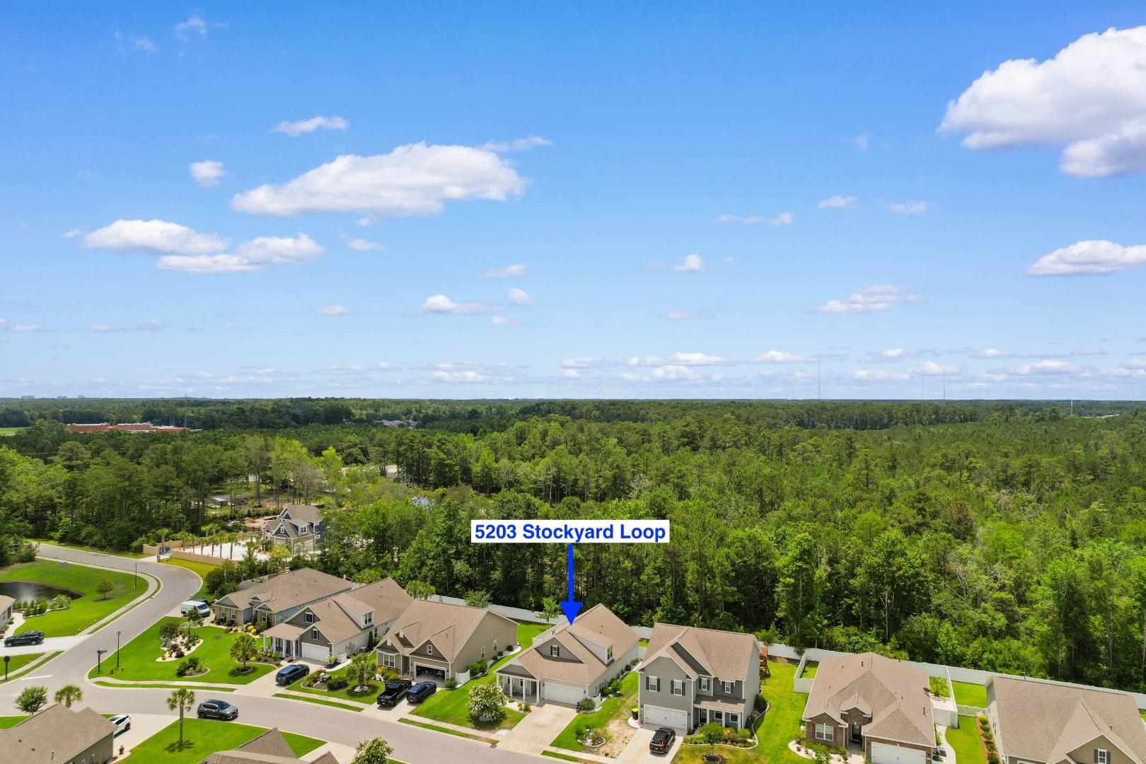 5203 Stockyard Loop Property Photo 31