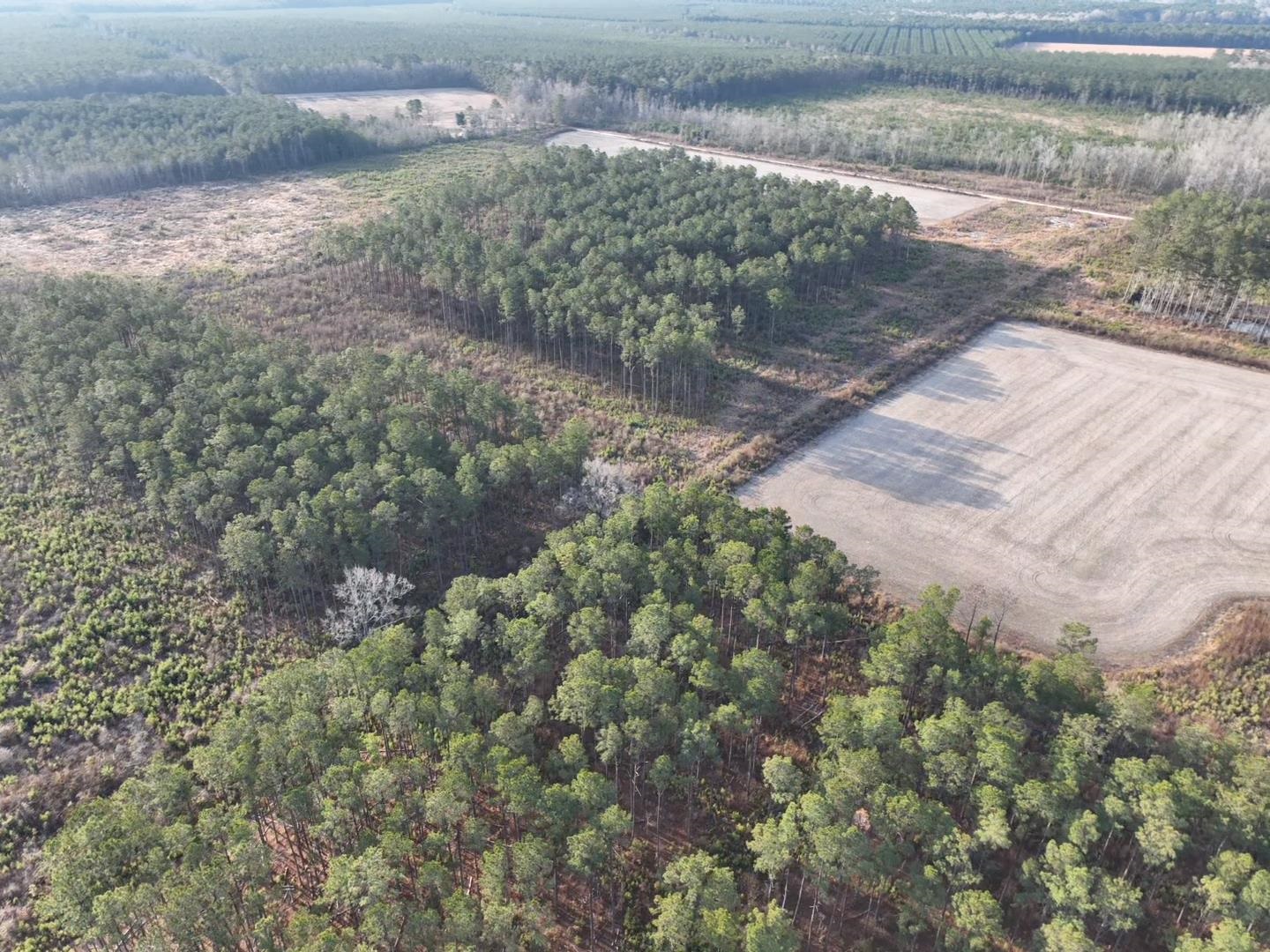 Tbd Hwy 9 Property Photo 1