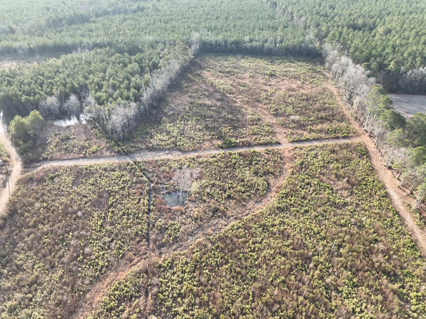 Tbd Hwy 9 Property Photo 6