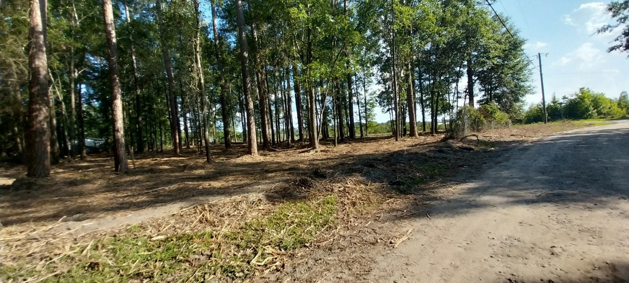 5540 York Rd Property Photo 3
