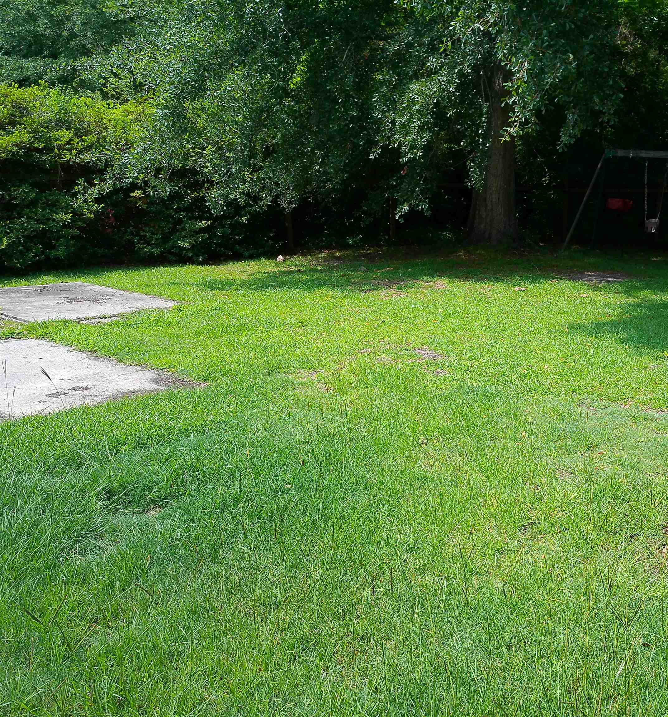 4389 Mcqueen St. Property Photo 42