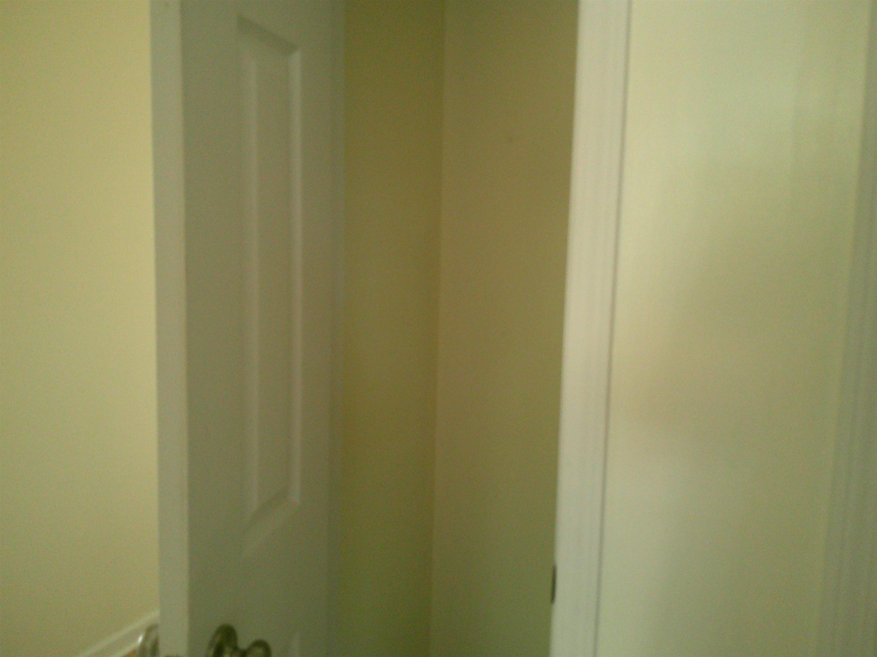 459 Hallie Martin Rd. Property Photo 21