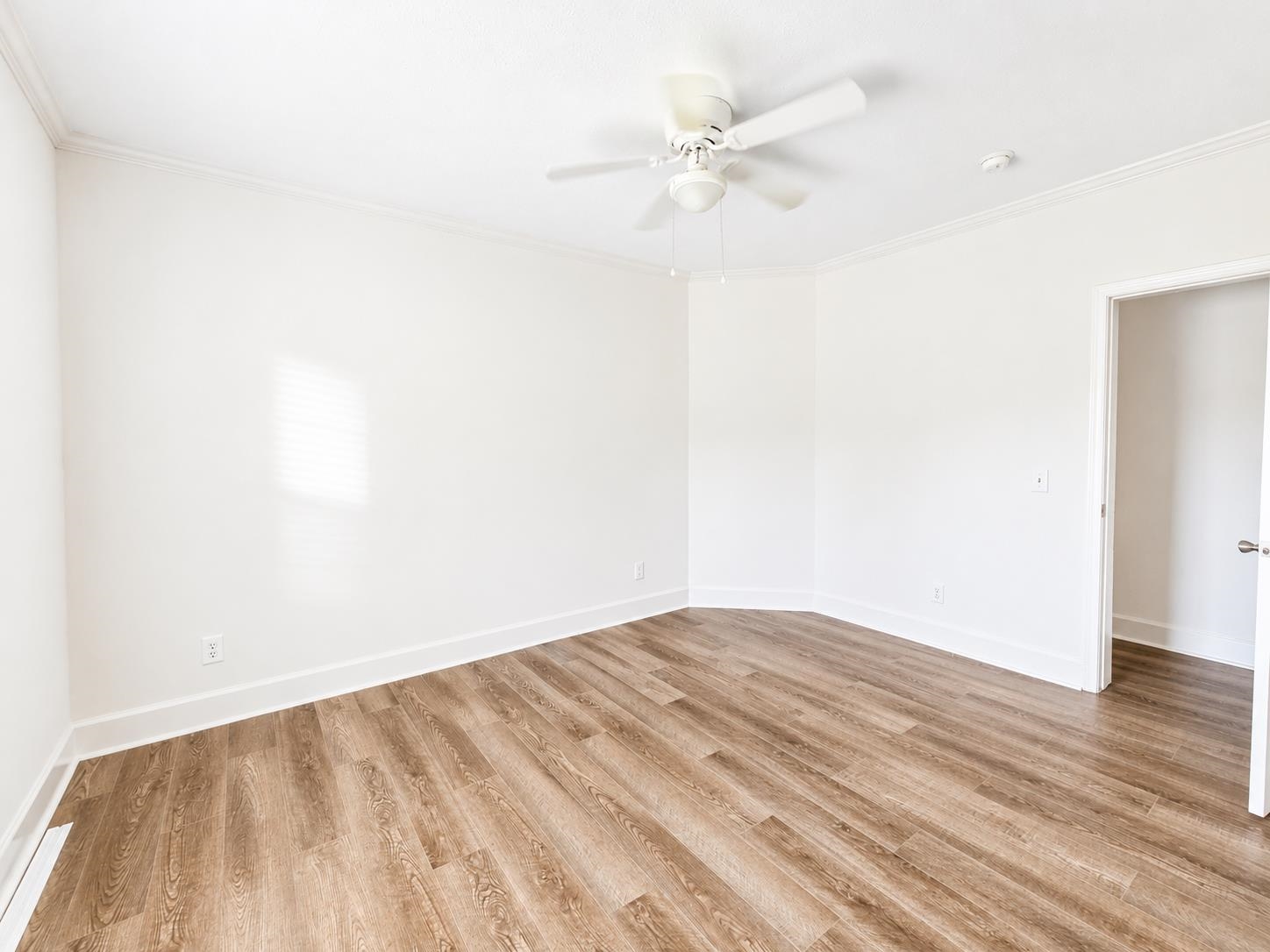 151 Hawks Nest Circle Property Photo 20
