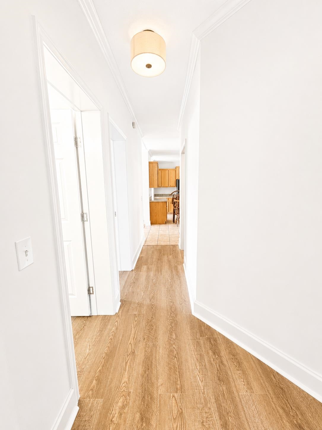 151 Hawks Nest Circle Property Photo 26