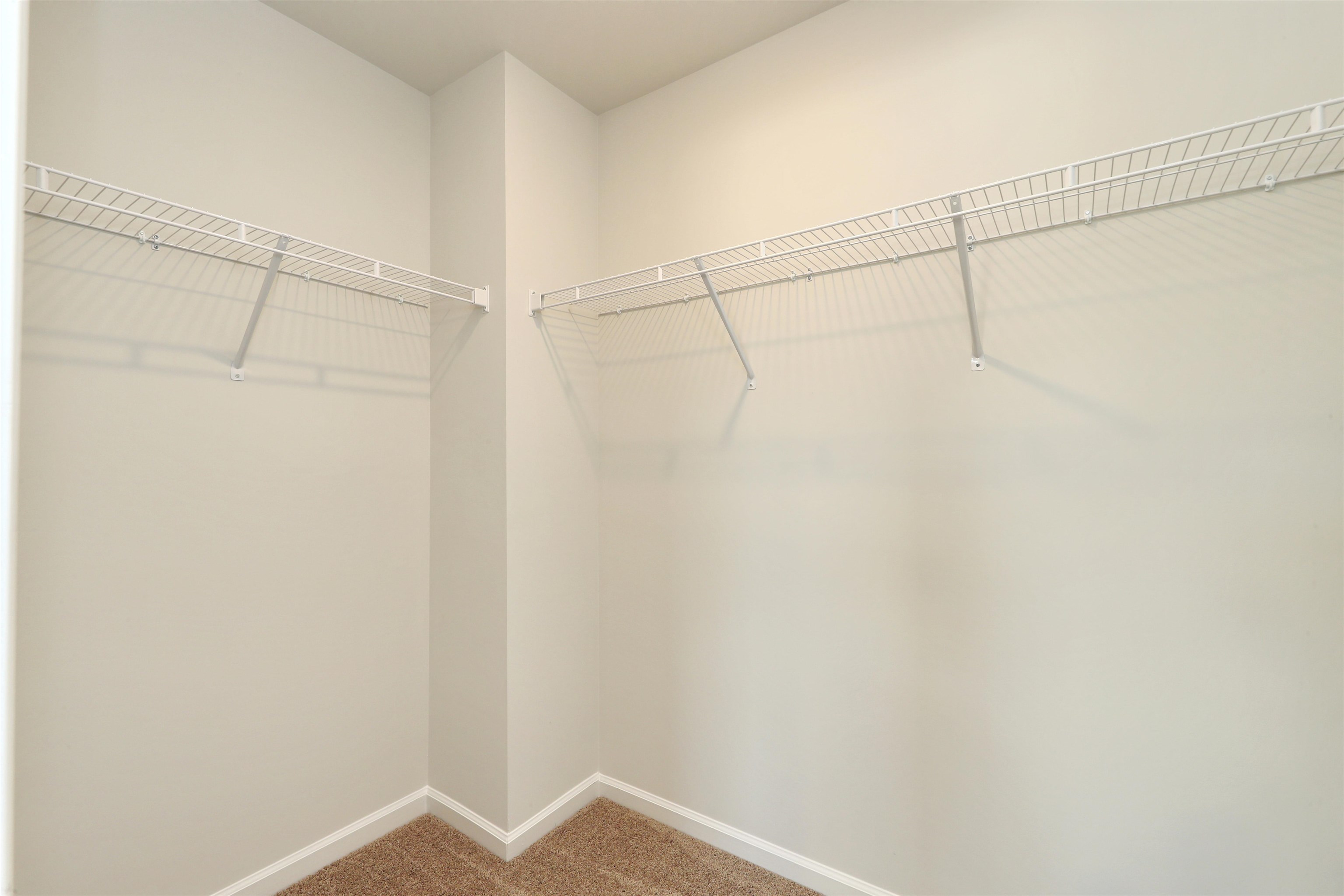 824 Wild Indigo Dr Property Photo 22