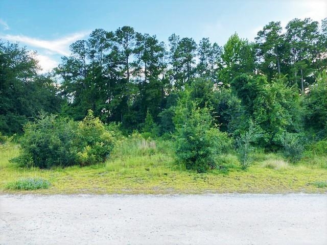 Lot 1 Ivanhoe Pl. Property Photo 1