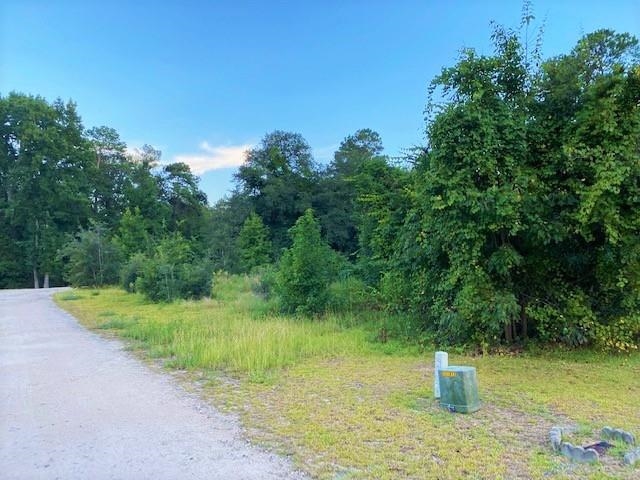 Lot 1 Ivanhoe Pl. Property Photo 3