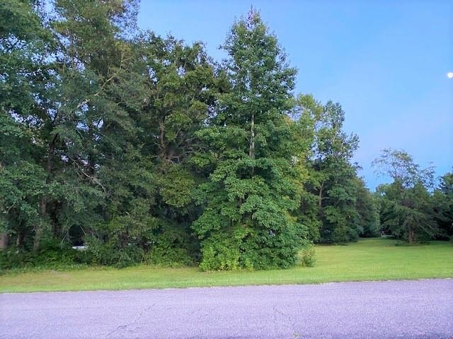 Lot 1 Ivanhoe Pl. Property Photo 4