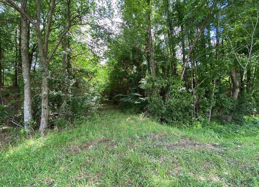 Tbd Highway 378 Property Photo 6
