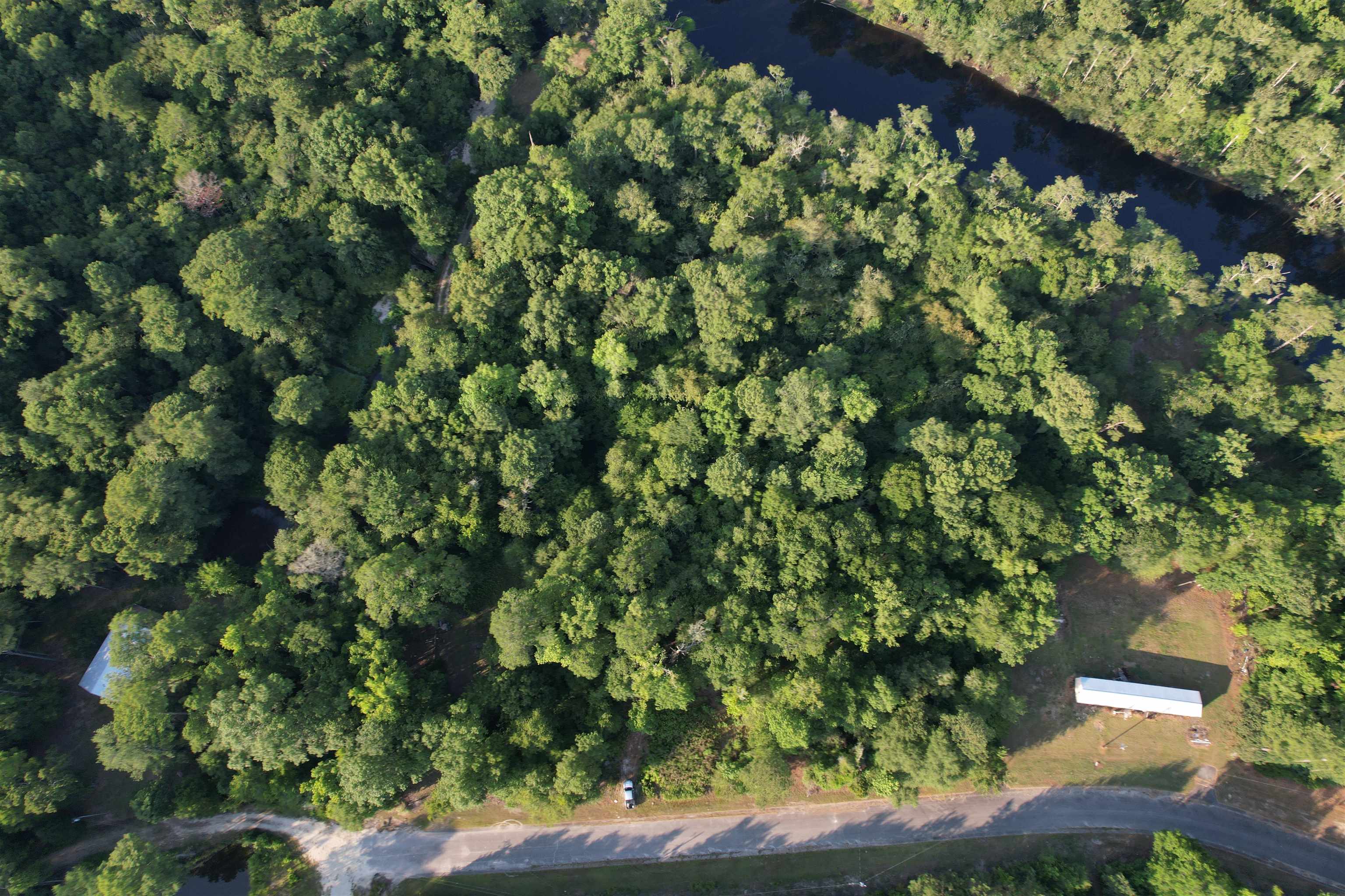 0.80 Acres-tbd Cantley Landing Rd. Property Photo 2