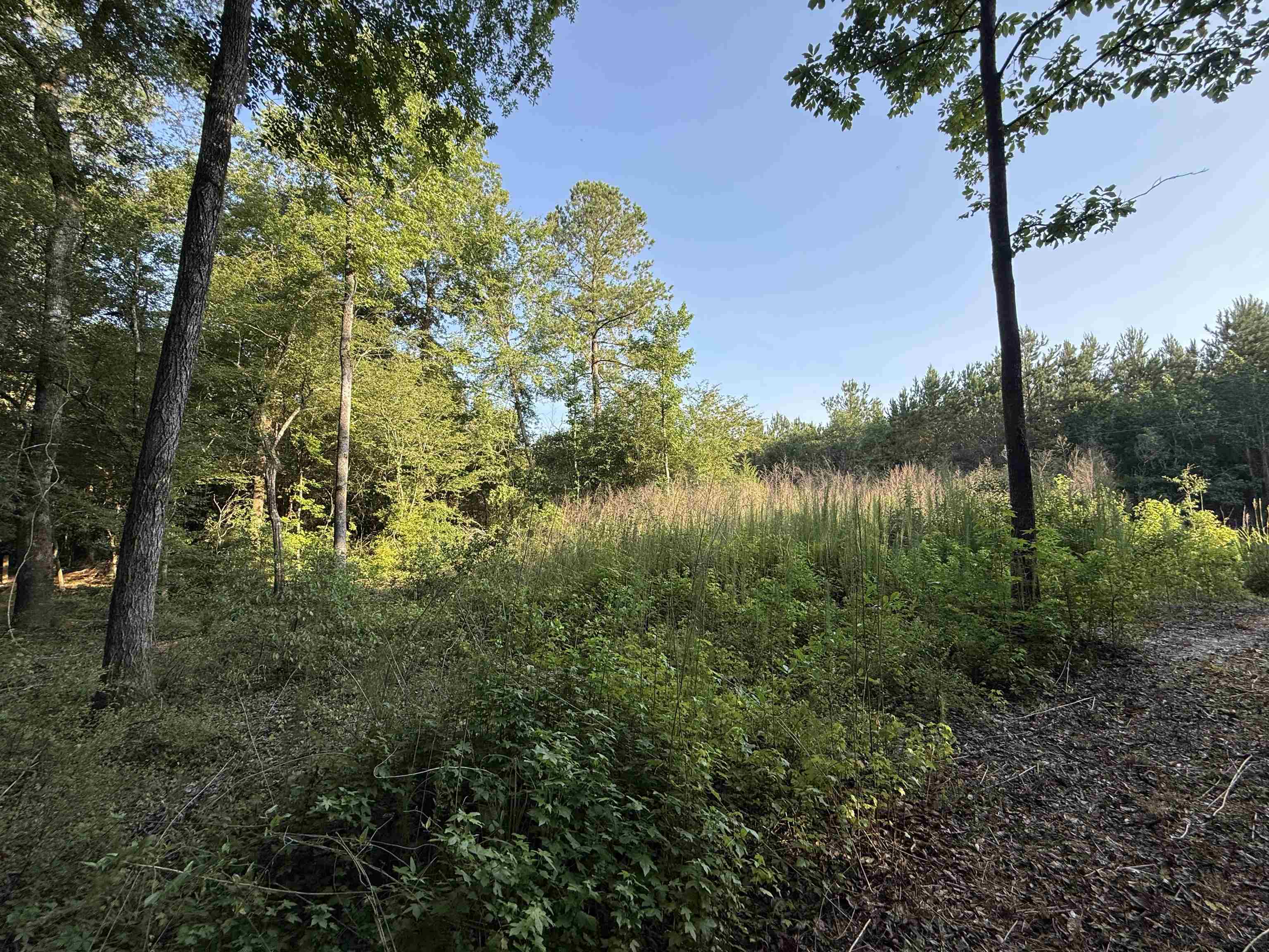 0.80 Acres-tbd Cantley Landing Rd. Property Photo 8