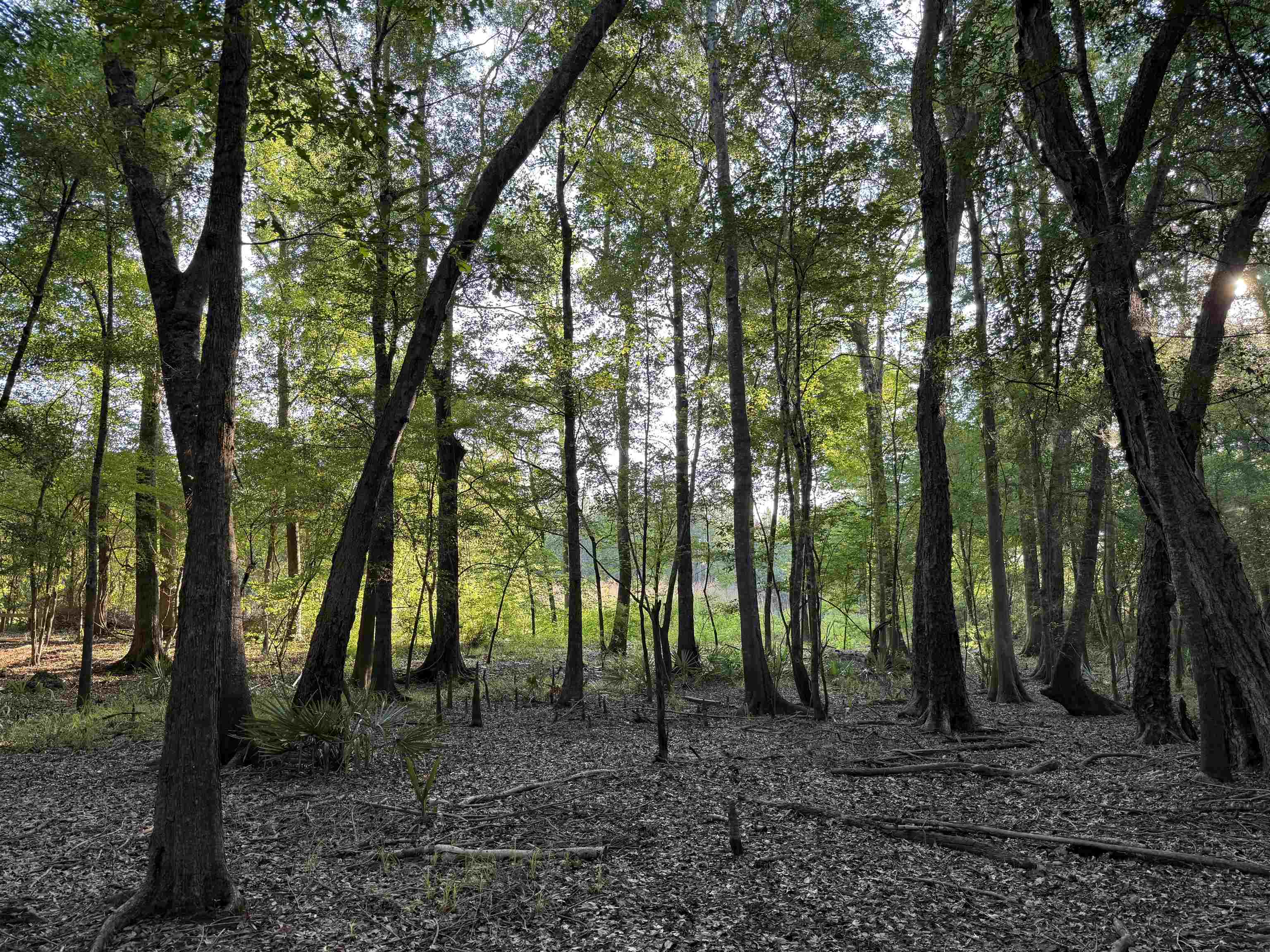 0.80 Acres-tbd Cantley Landing Rd. Property Photo 9