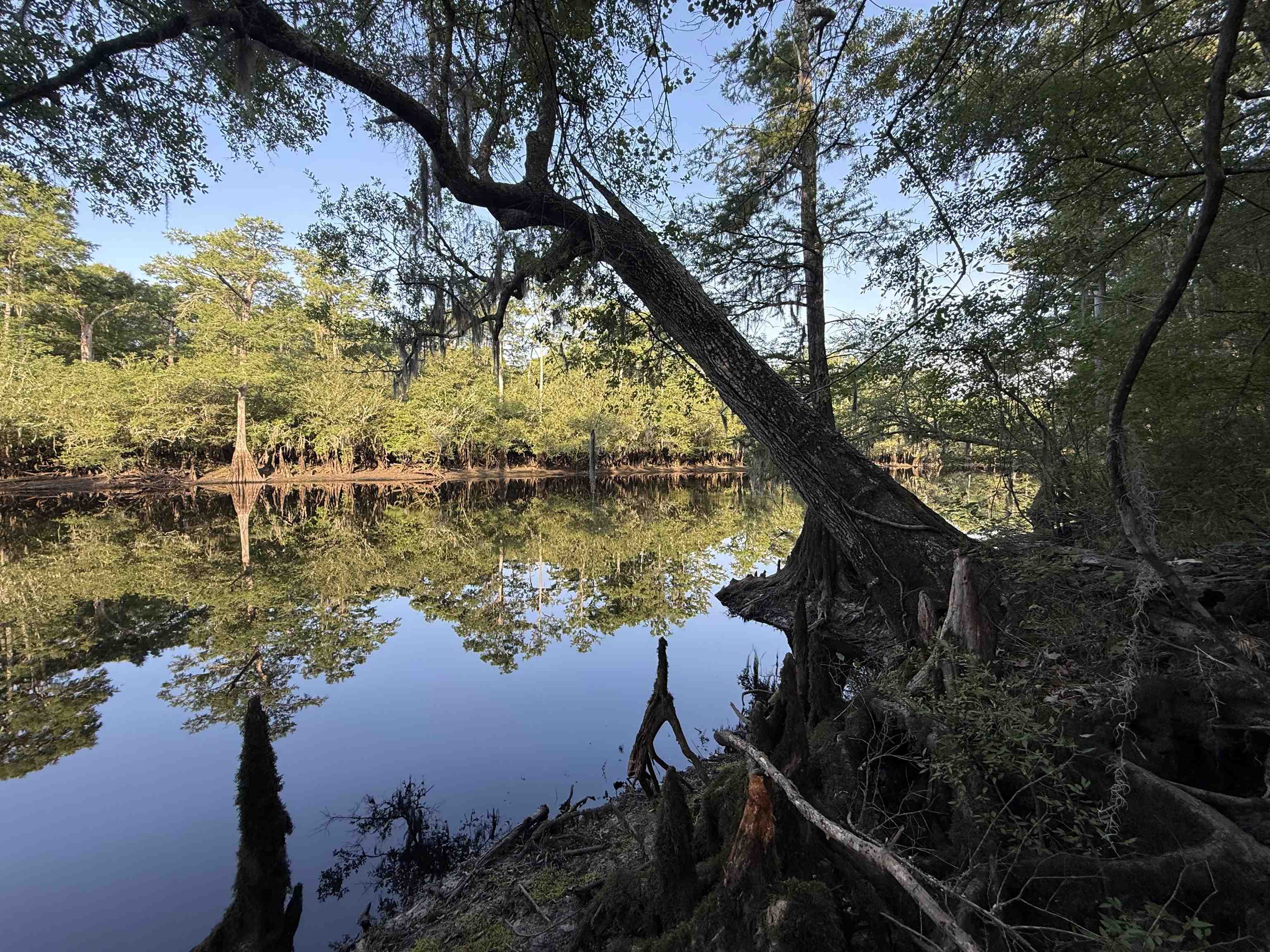0.80 Acres-tbd Cantley Landing Rd. Property Photo 10