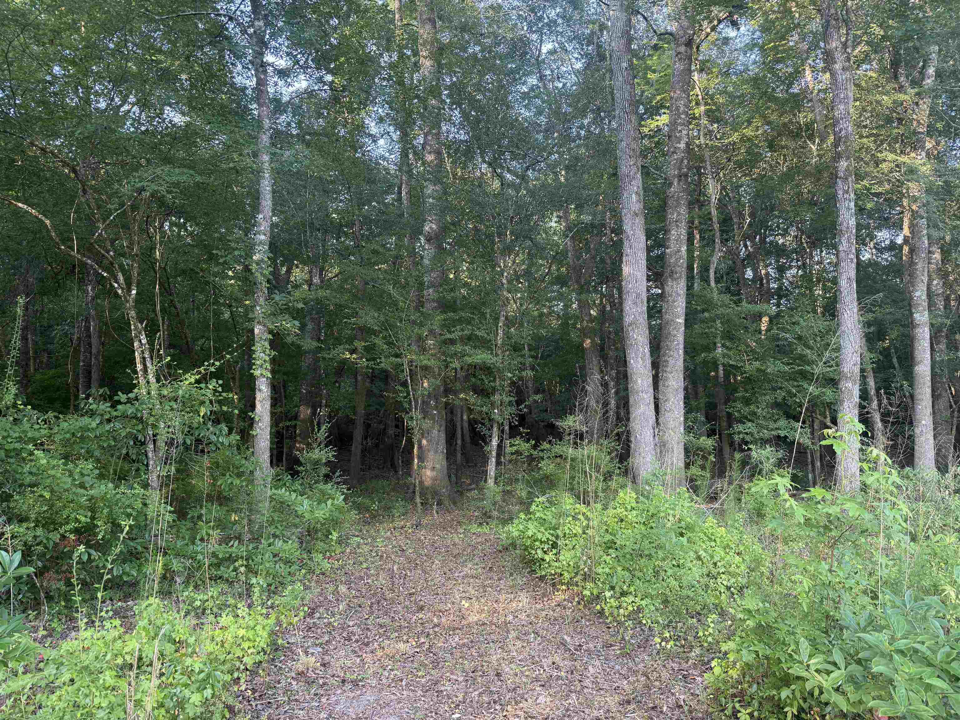 0.80 Acres-tbd Cantley Landing Rd. Property Photo 12