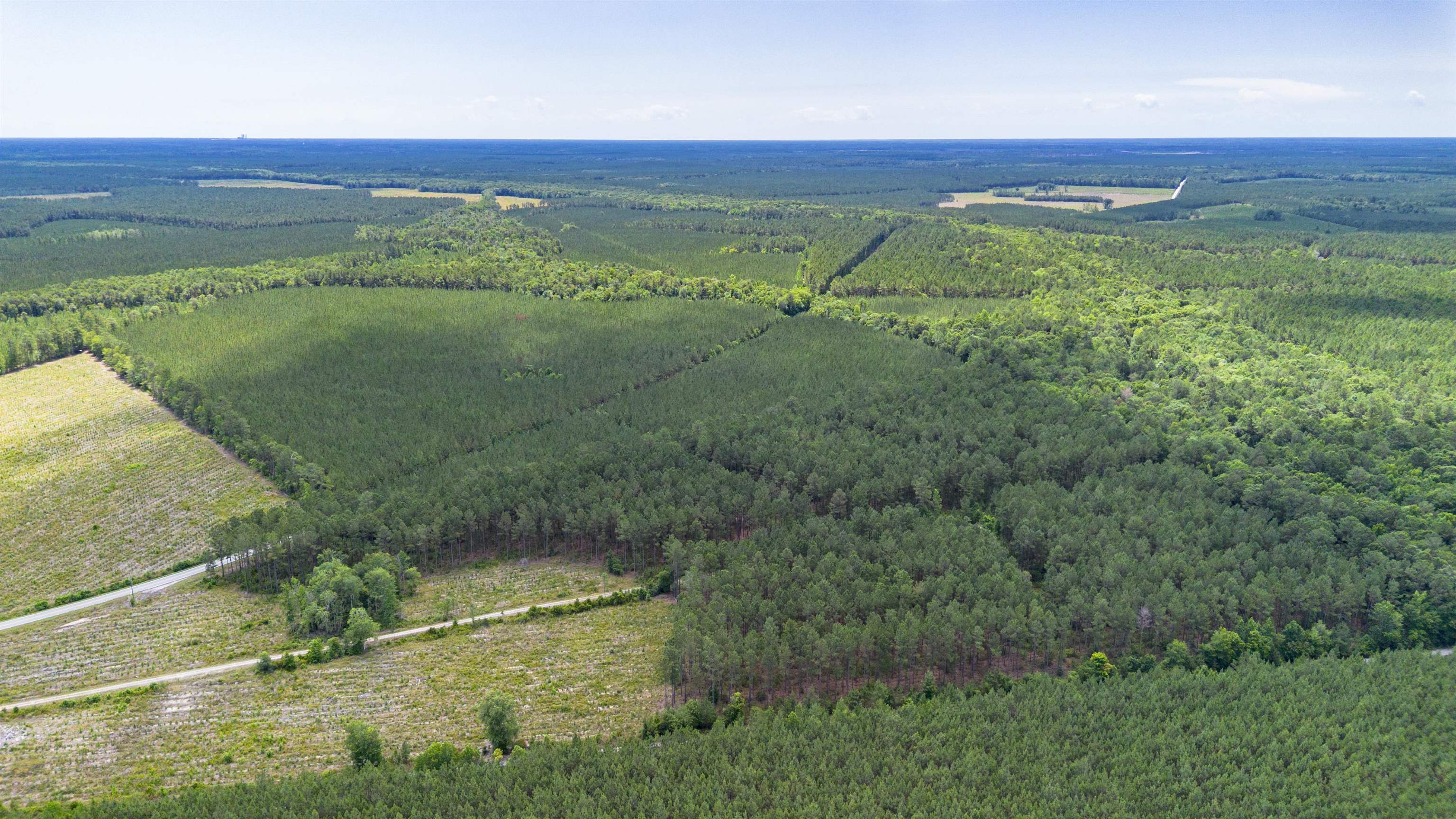 Tract E Ten Acre Rd. Property Photo 6