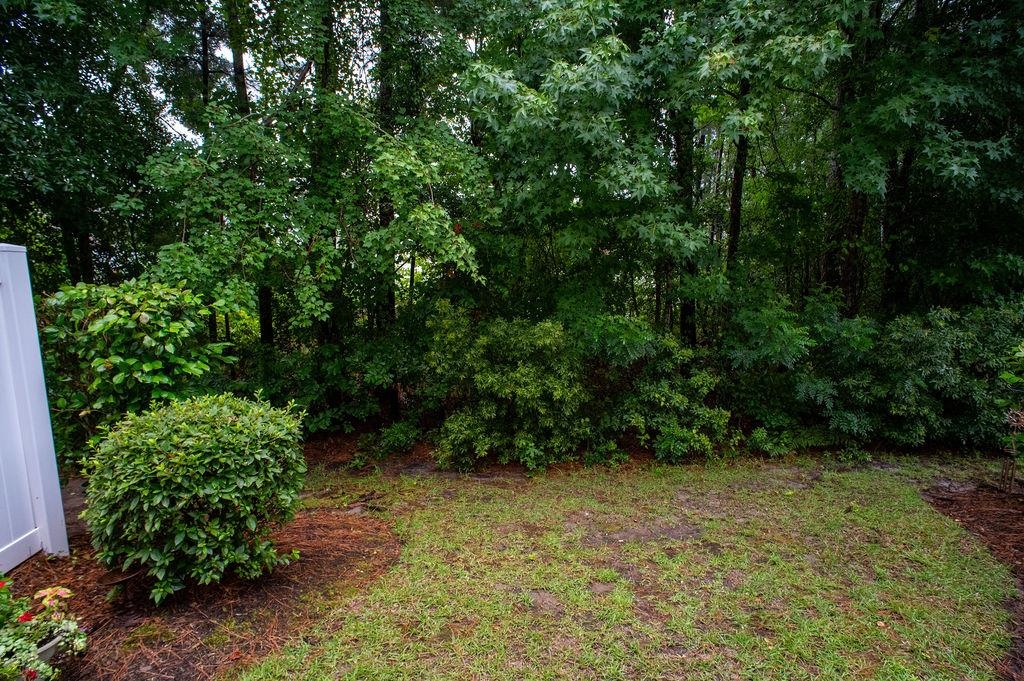 791 Painted Bunting Dr. Property Photo 86