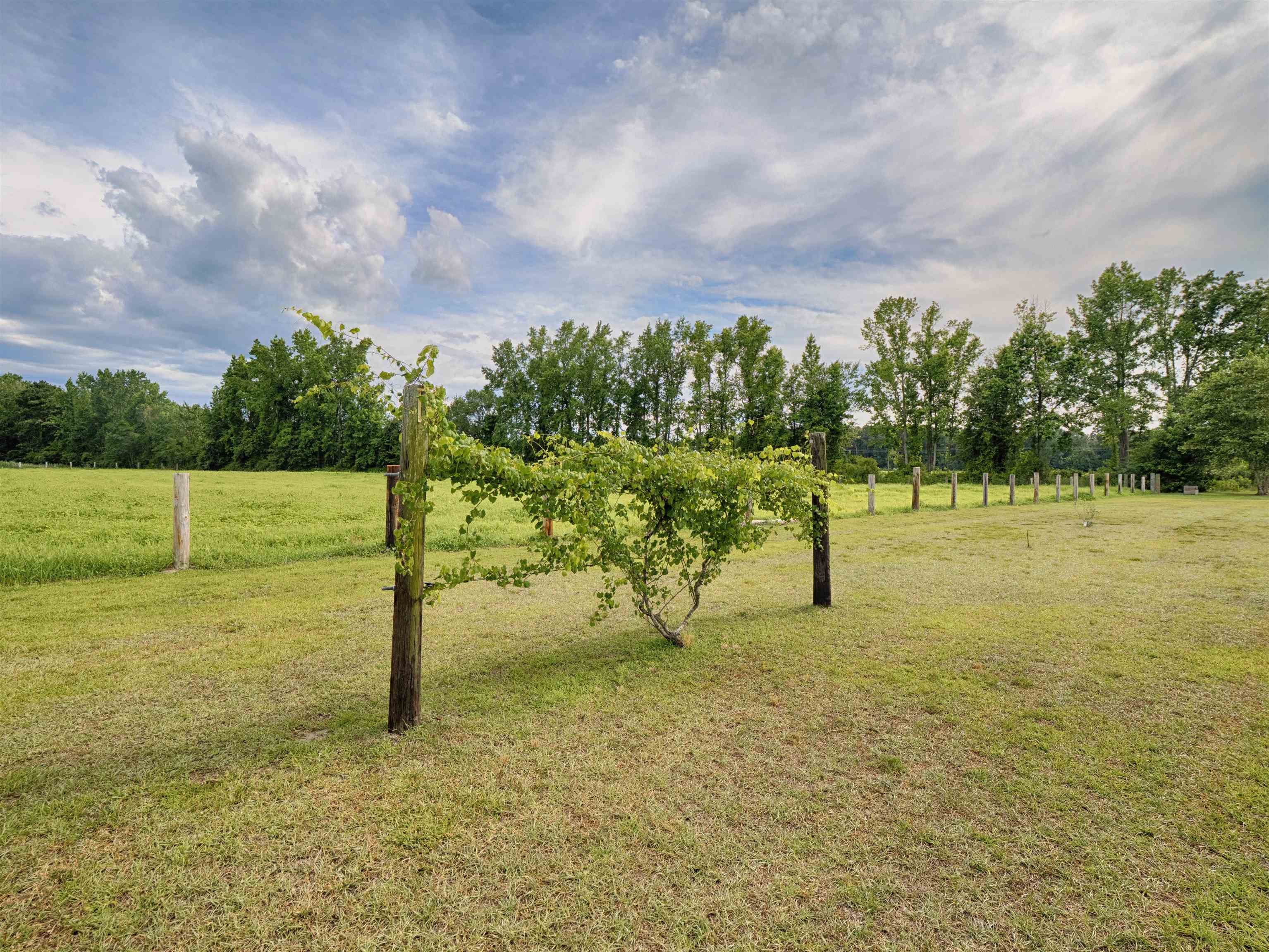 3728 W. Turbeville Highway Property Photo 60